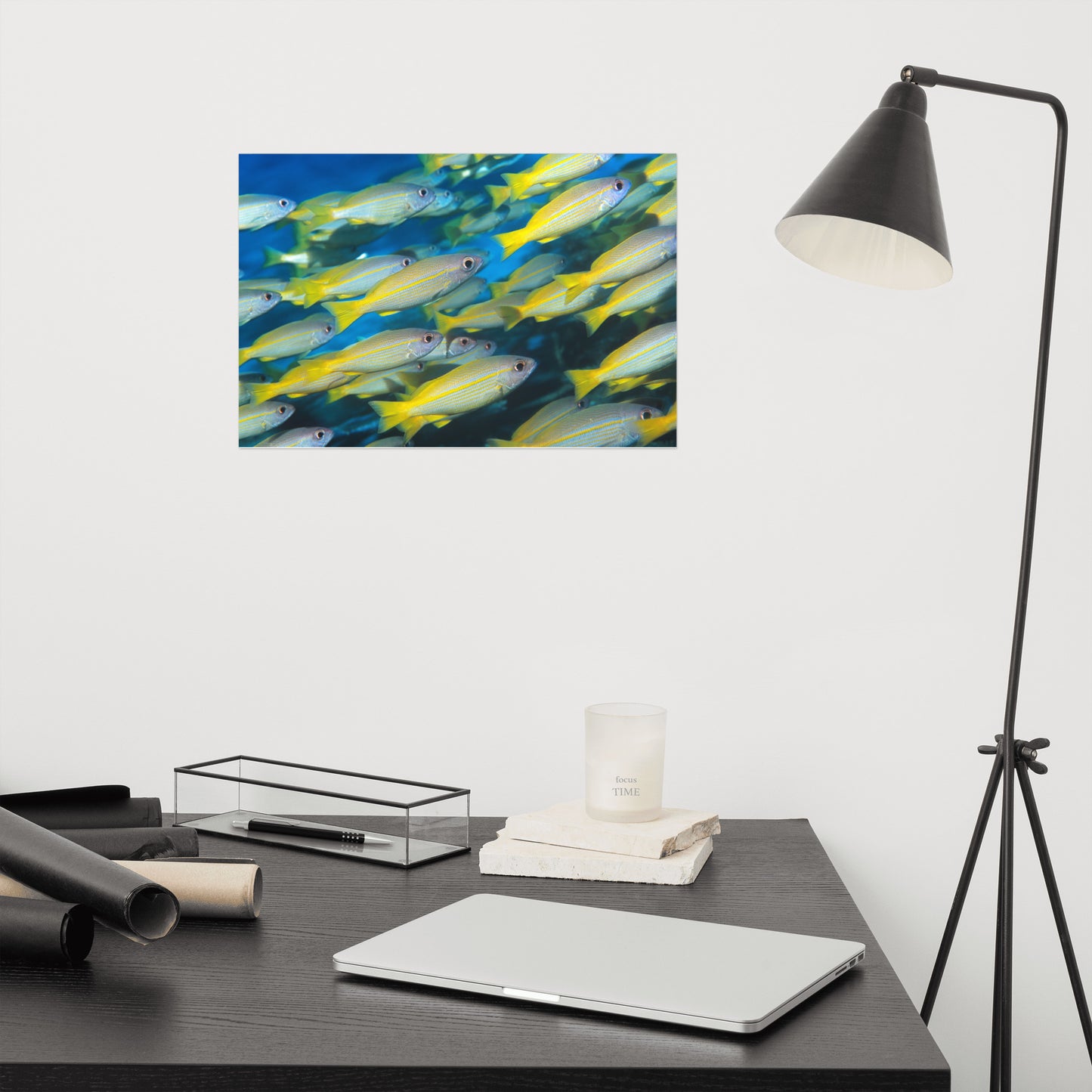 School of Yellow Tropical Fish in Blue Ocean Water Animal Wildlife Photograph Loose Wall Art Print