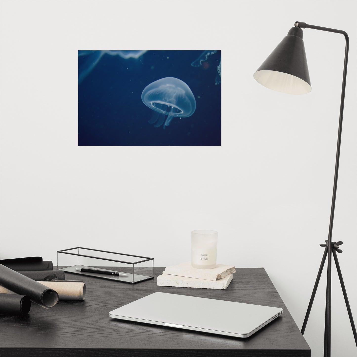 Small Blue Jelly Aquatic Wildlife Photograph Loose Wall Art Print