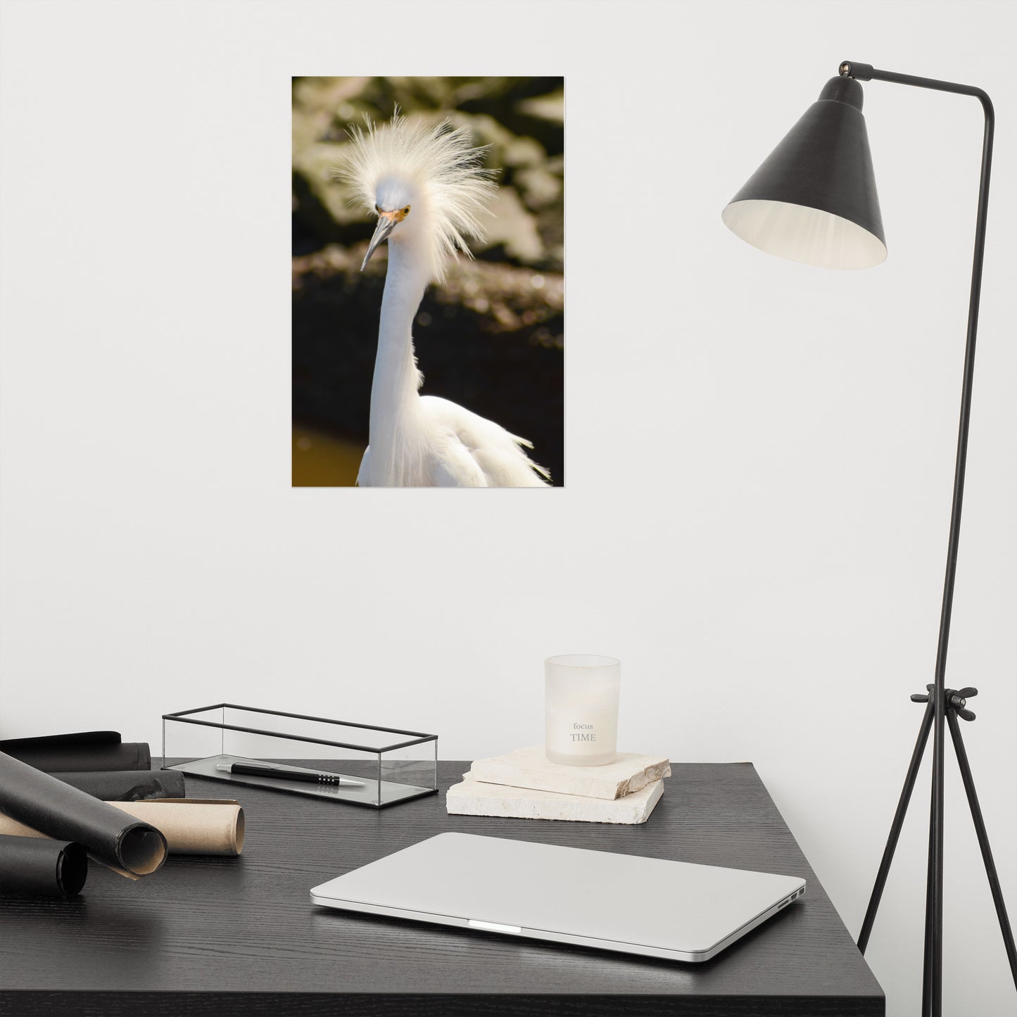 Snowy Egret - Coastal Bird Wildlife Photograph Loose Wall Art Print