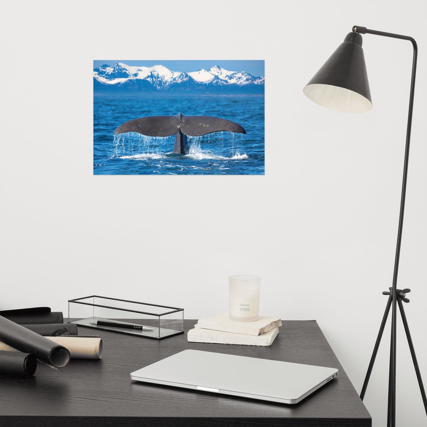Sperm Whale Tall Splashing Aquatic Animal Wildlife Photo Loose Wall Art Print