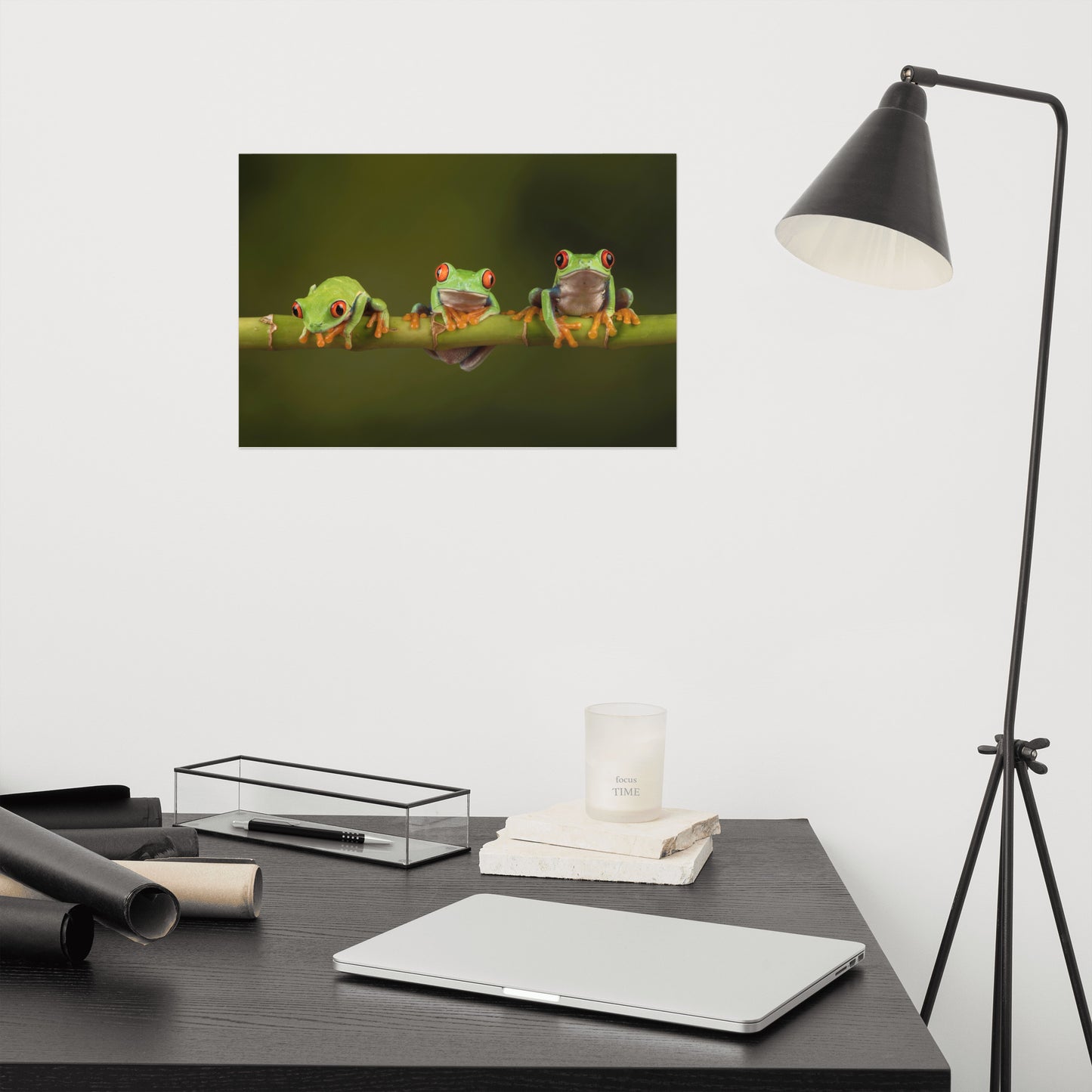 Three Tiny Green Red Eyed Tree Frog on Bamboo Branch Animal Wildlife Floral Nature Photograph Loose Wall Art Print