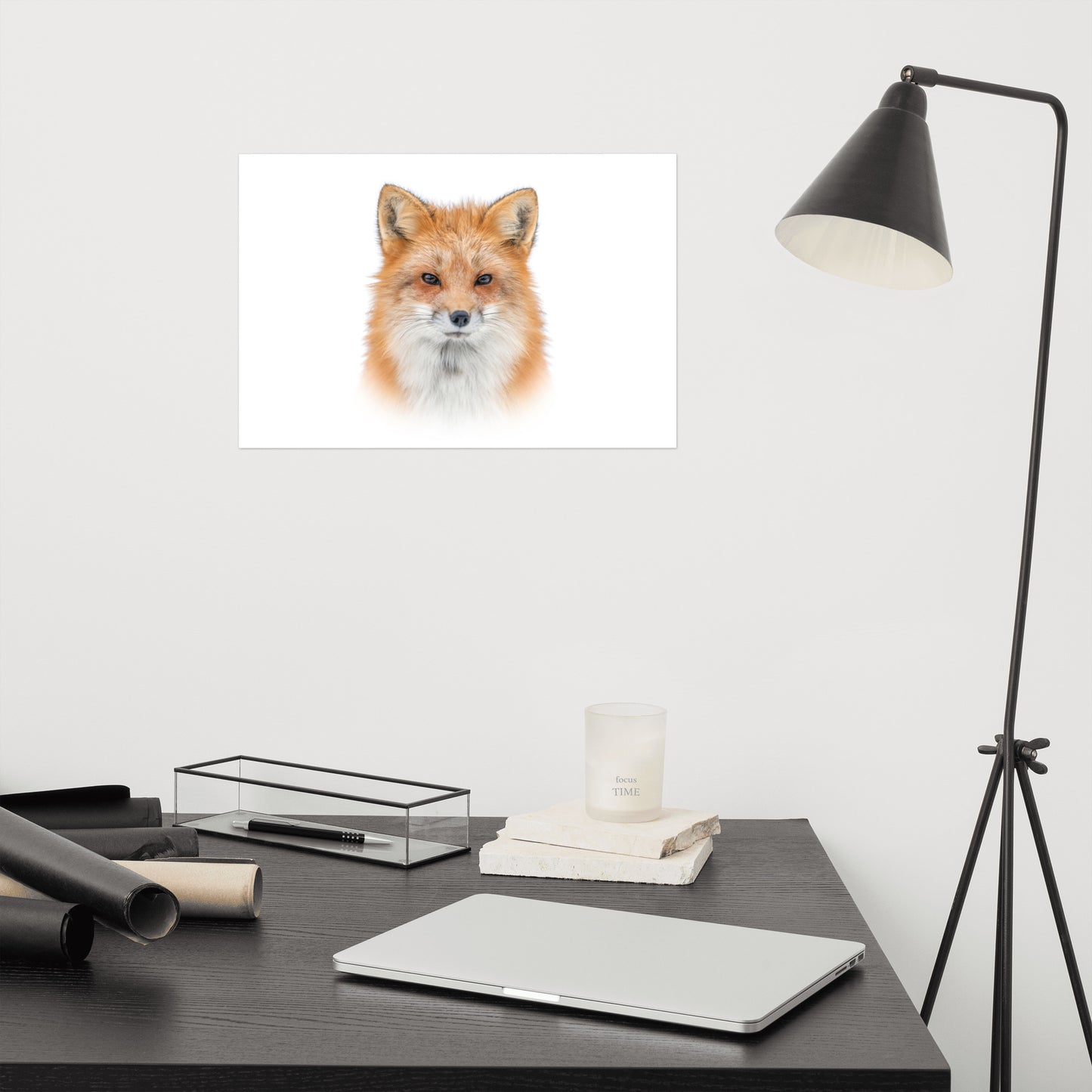 Young Red Fox Face on White Minimal Animal Wildlife Nature Photograph Loose Wall Art Print