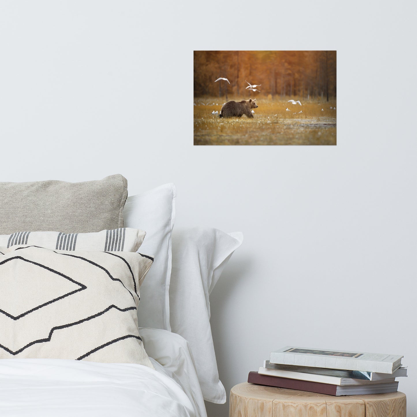 Big Brown Bear Crossing The Marshlands Wildlife Photo Loose Wall Art Prints