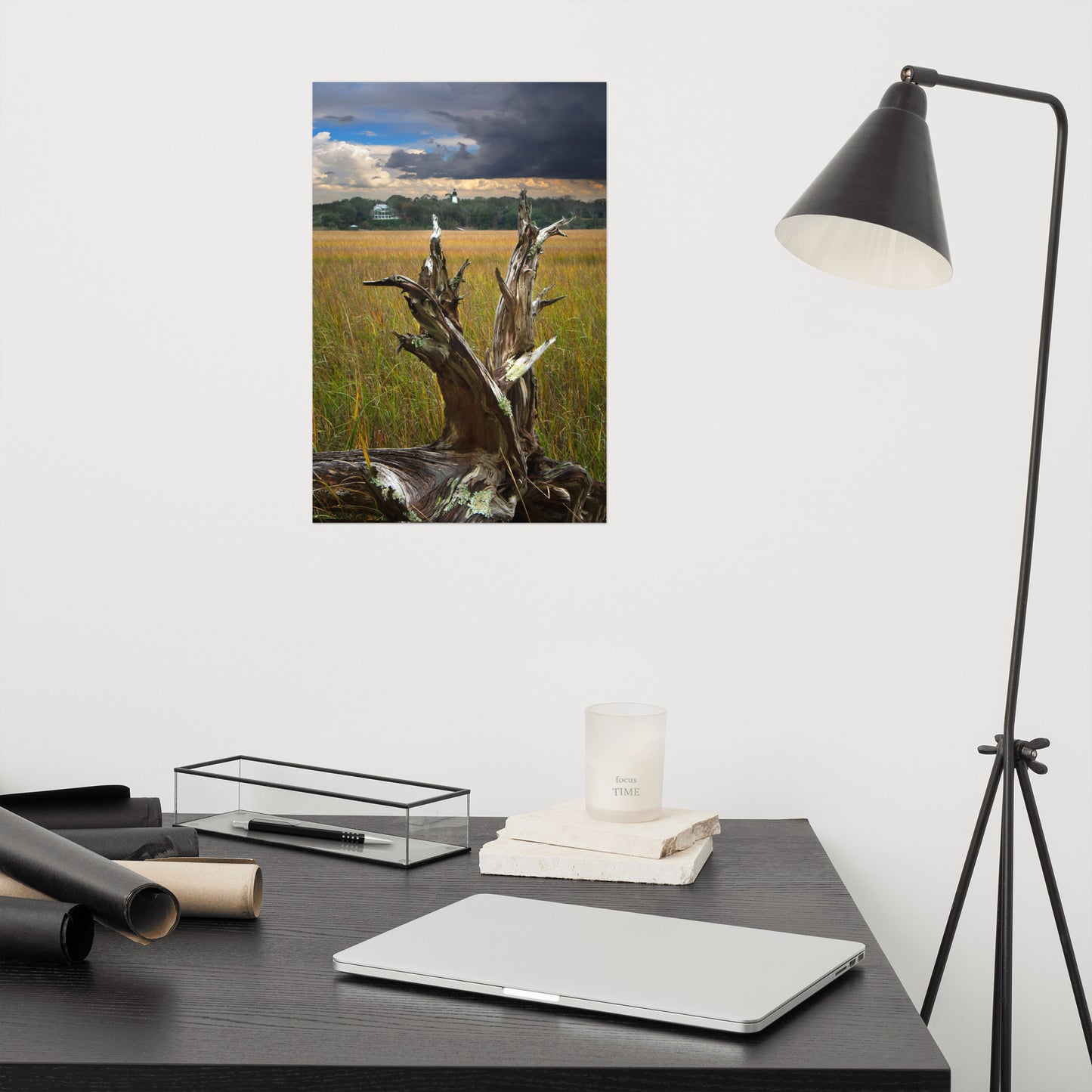 Dead Tree and Amelia Lighthouse Coastal Landscape Photo - Loose Wall Art Prints