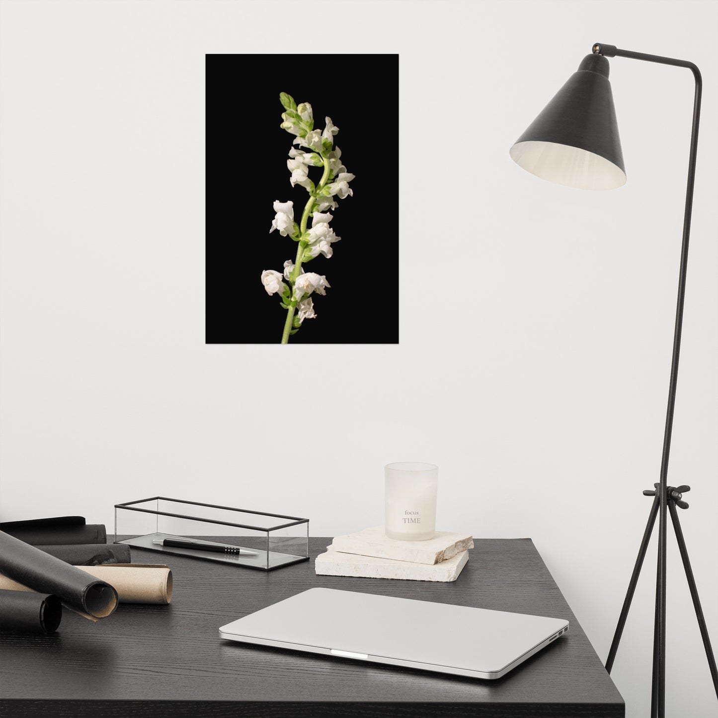 White Snapdragons Floral Nature Photo Loose Unframed Wall Art Prints
