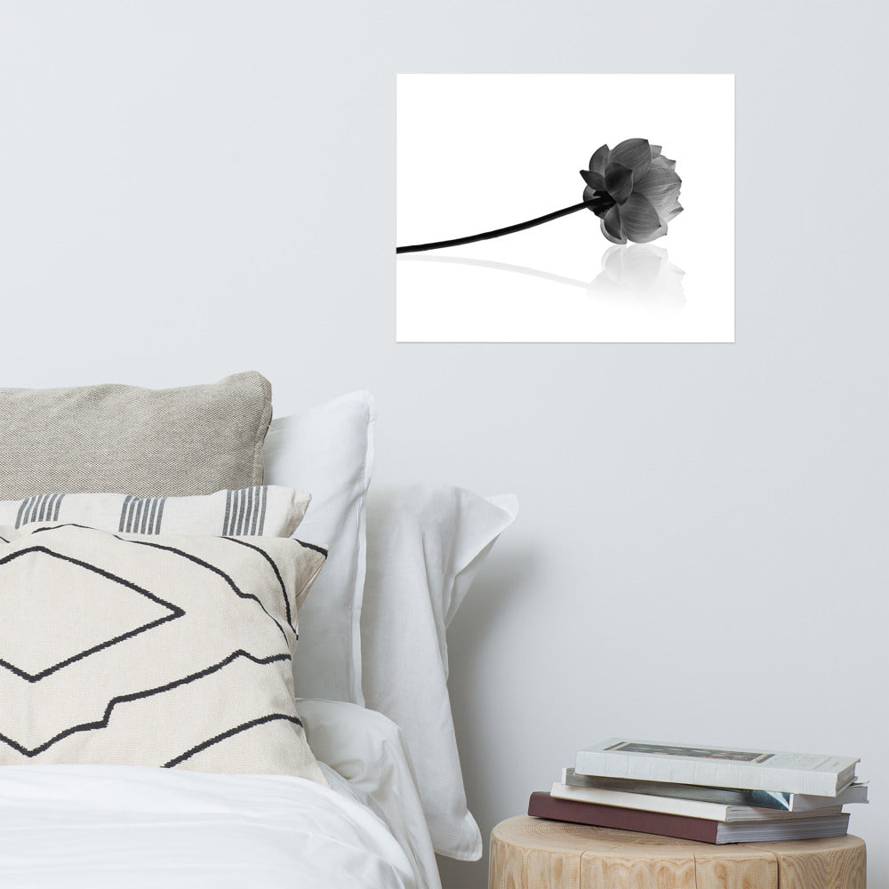 Resting Lotus Flower Black & White Floral Nature Photo Loose Flower Wall Art Print
