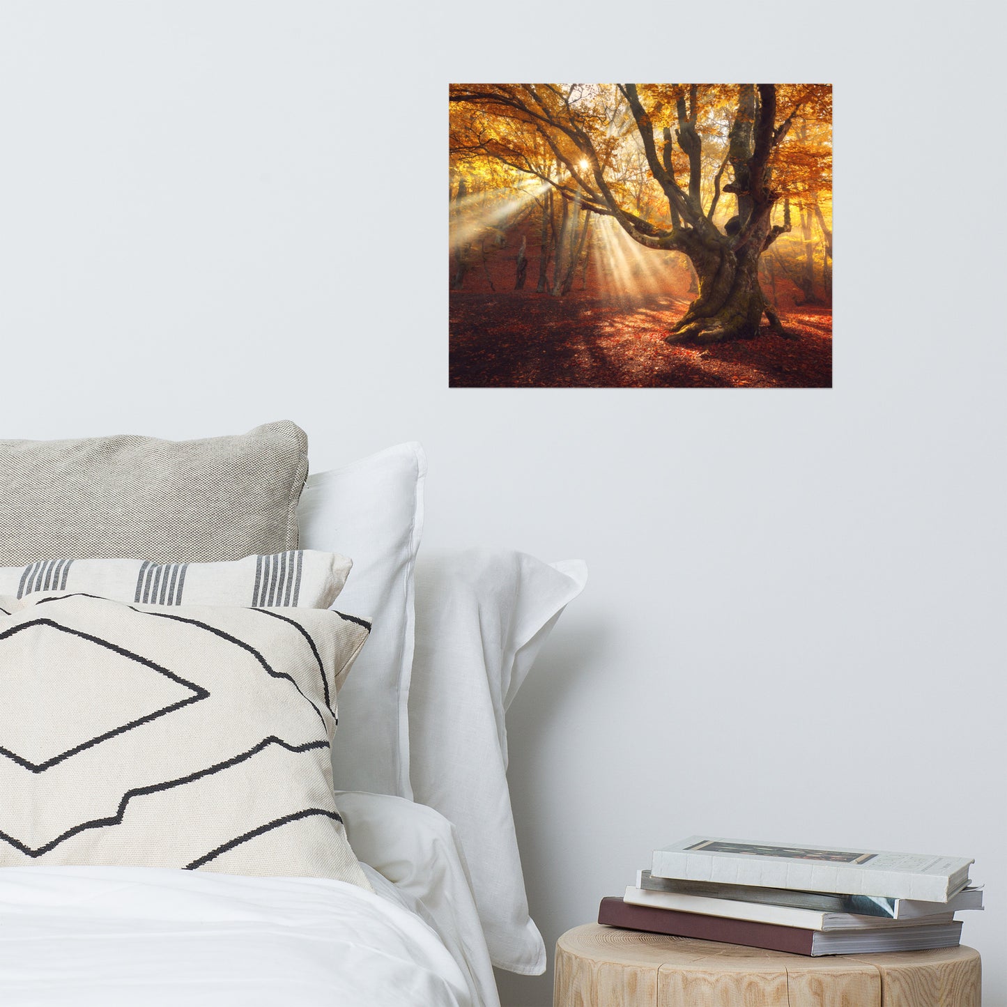 Old Magical Tree in Forest with Glory Rays Rustic Farmhouse Style Landscape Photo Loose Wall Art Prints