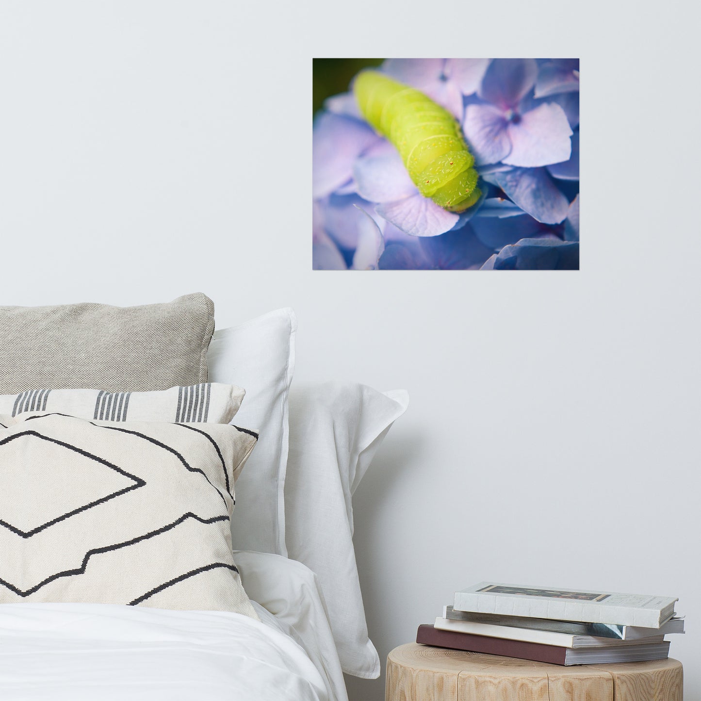 Actias Luna Larvae on Hydrangea Floral Nature Photo Loose Unframed Wall Art Prints