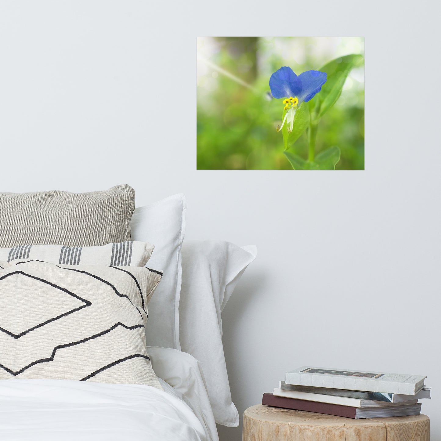 Flower Decoration Poster: Little Purple and White Flower Bloom - Botanical / Floral / Flora / Flowers / Nature Photograph Loose / Unframed Wall Art Print - Artwork