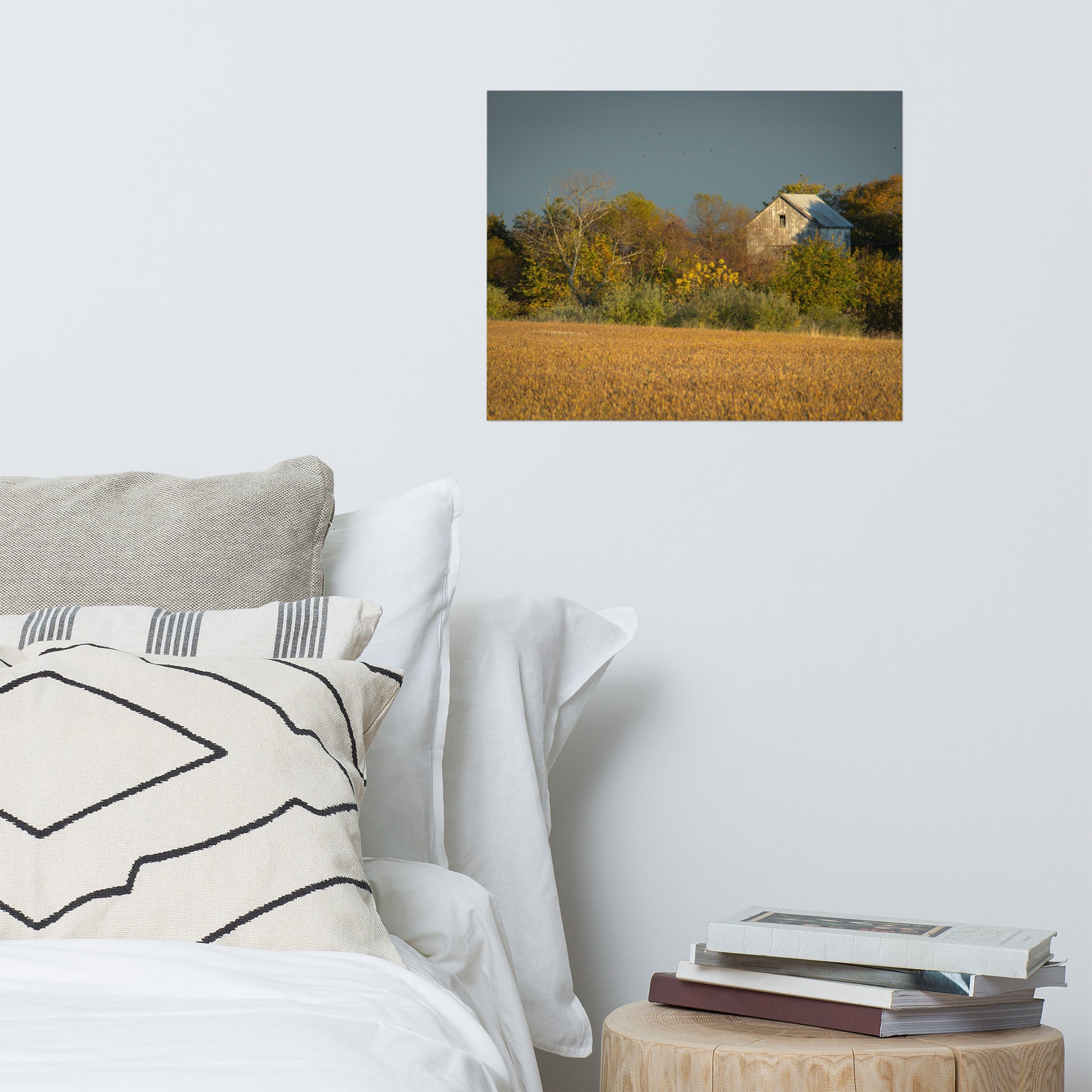Country Style Wall Decor: Abandoned Barn In The Trees Landscape Photo Loose Wall Art Prints