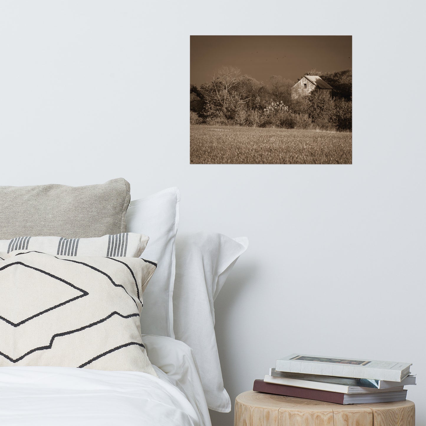Rustic Wall Decor: Abandoned Barn In The Trees Sepia - Rural / Country Style Landscape / Nature Loose / Unframed Photograph Wall Art Print - Artwork