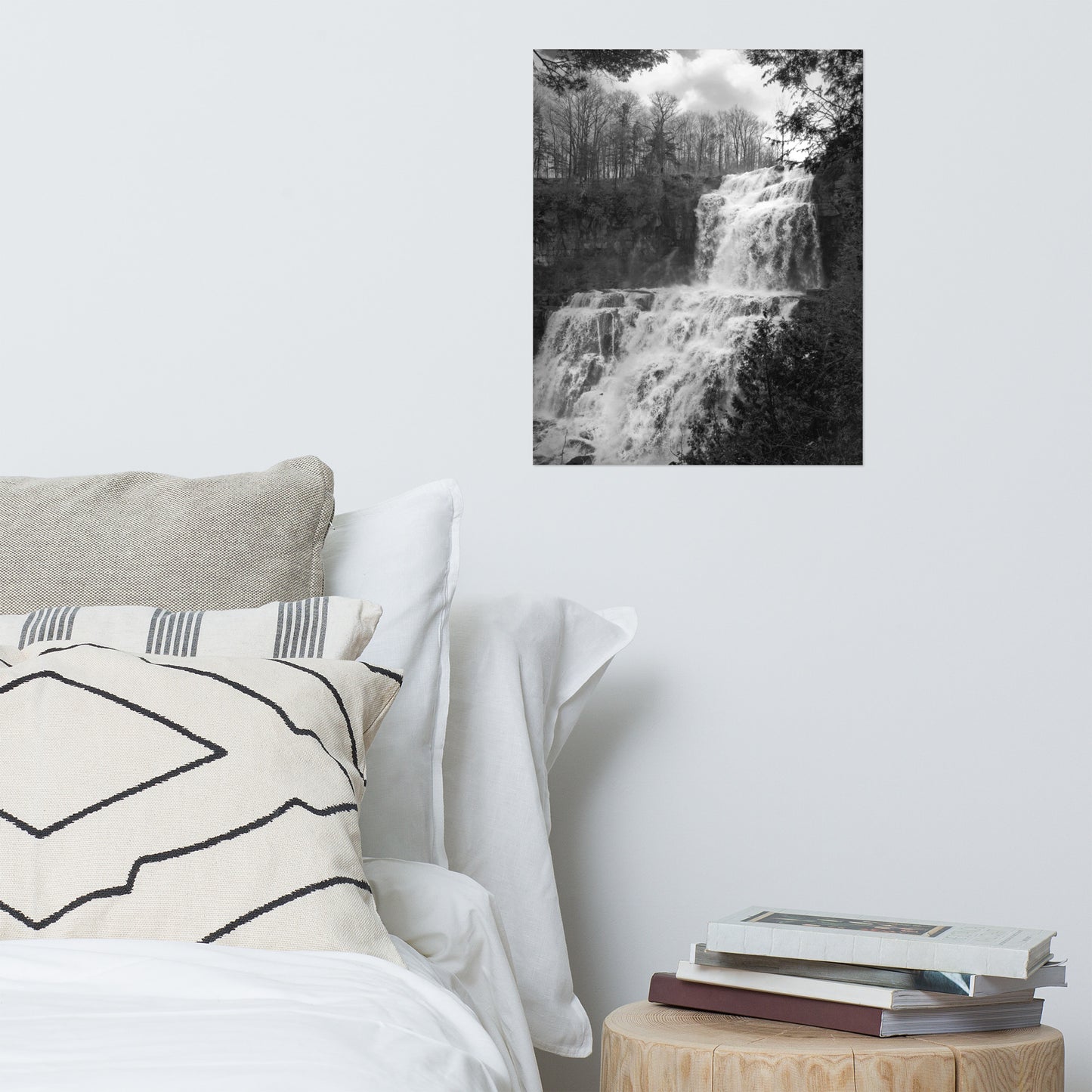 Chittenango Falls in Black and White Rustic Landscape Photo Loose Wall Art Print