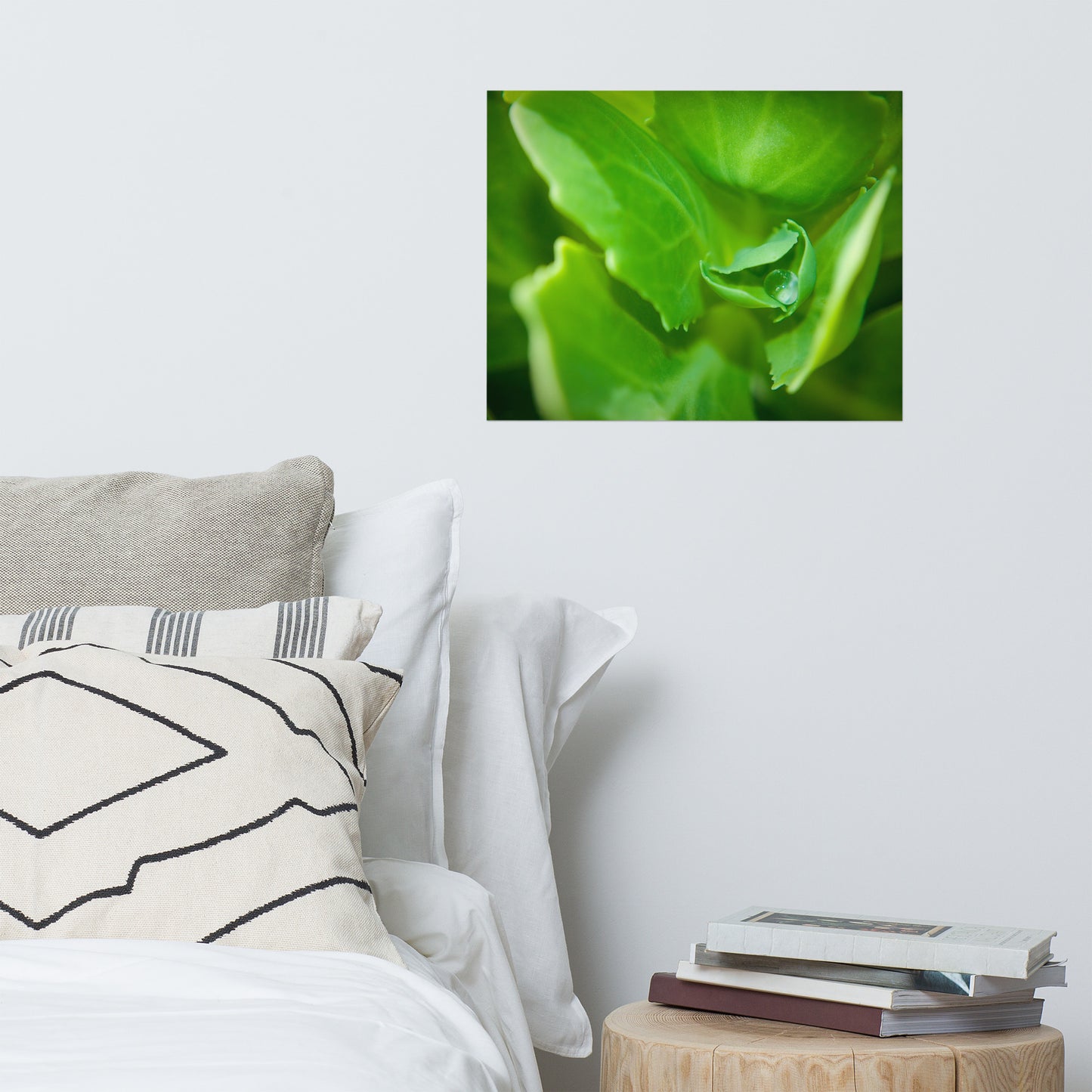 Cupped Droplet Rustic Minimal Botanical Nature Photo Loose Unframed Wall Art Prints