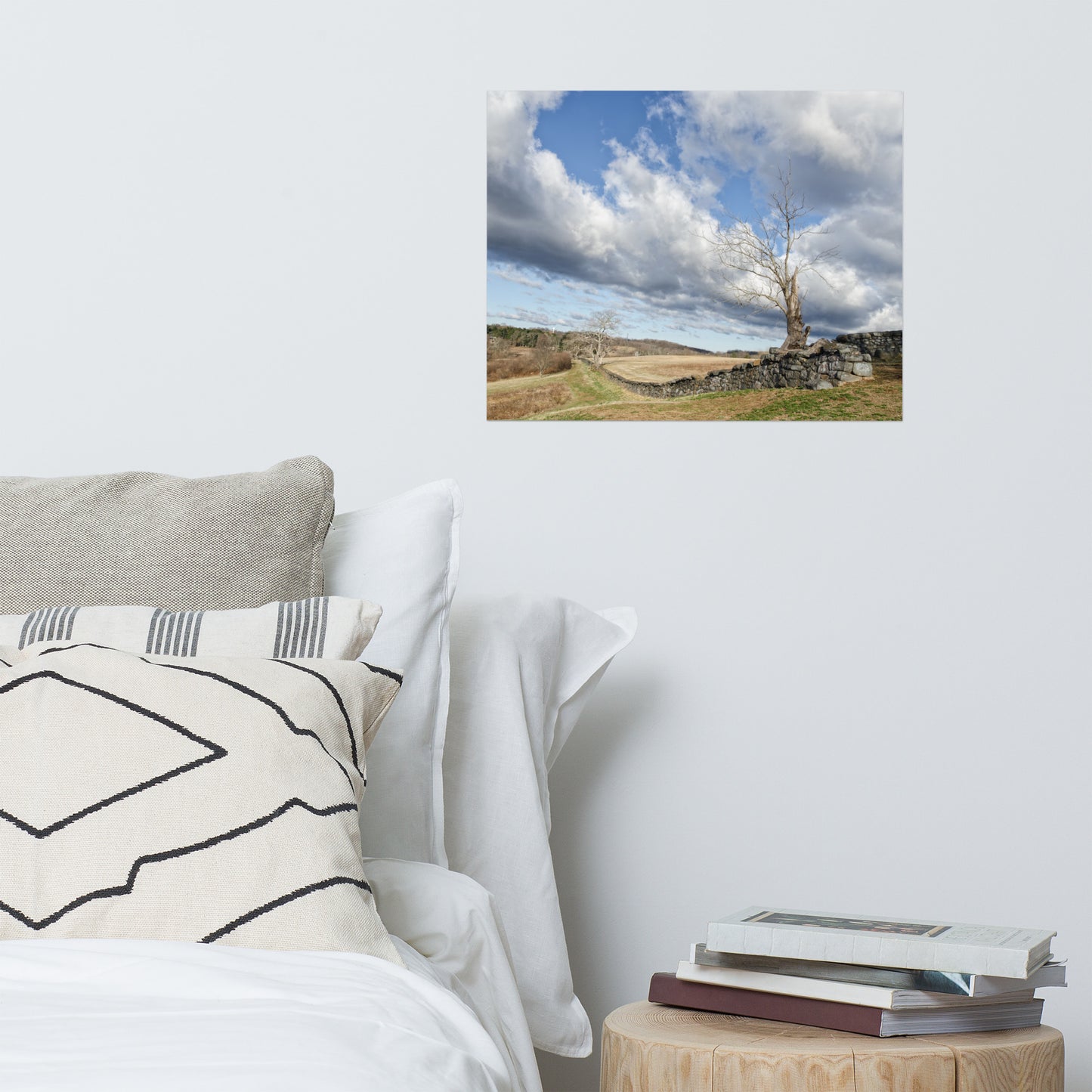 Dead Tree and Stone Wall Rustic Farmhouse Style Landscape Photo Loose Wall Art Prints