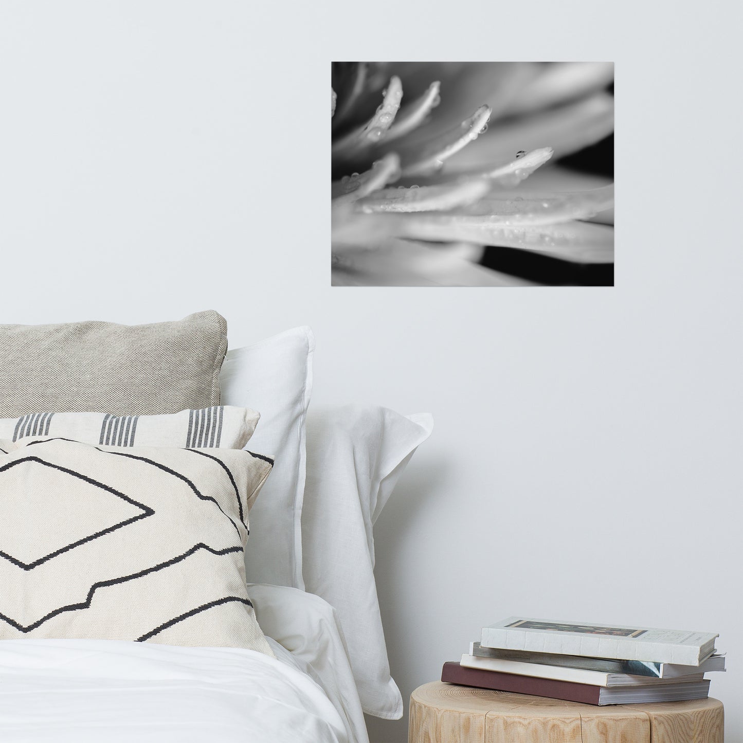 Droplets on Petals Black and White Floral Nature Photo Loose Unframed Wall Art Prints