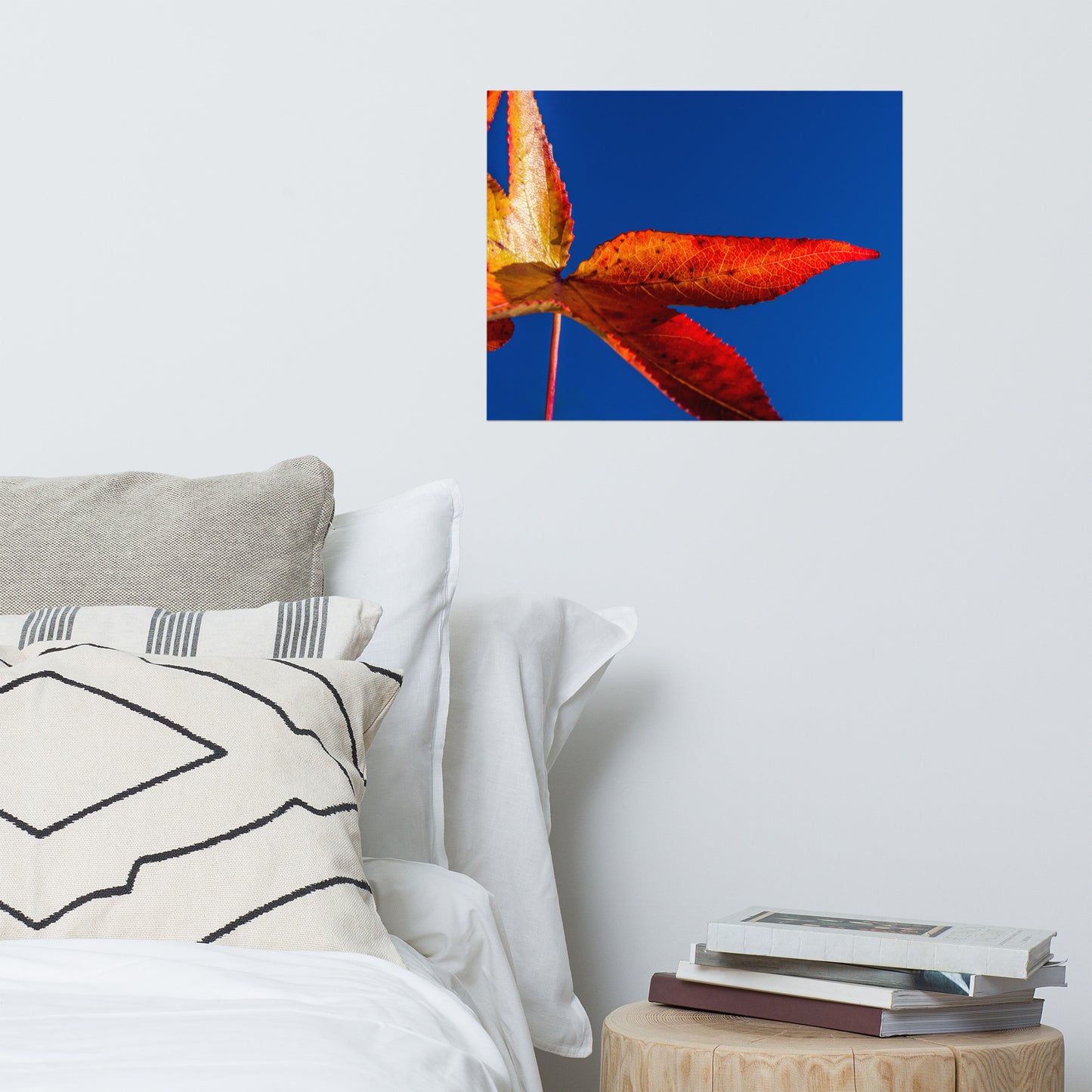 Fall Colors Farmhouse Style Botanical Nature Photo Loose Unframed Wall Art Prints