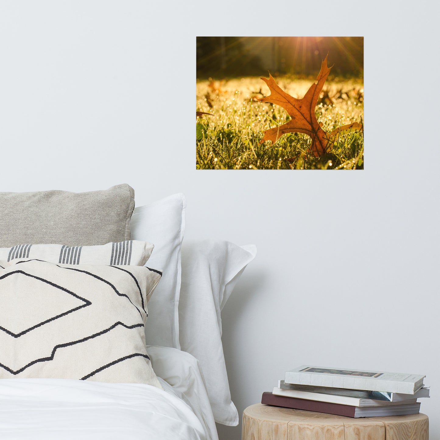 Fall Leaf in Morning Sun Farmhouse Style Botanical Nature Photo Loose Unframed Wall Art Prints