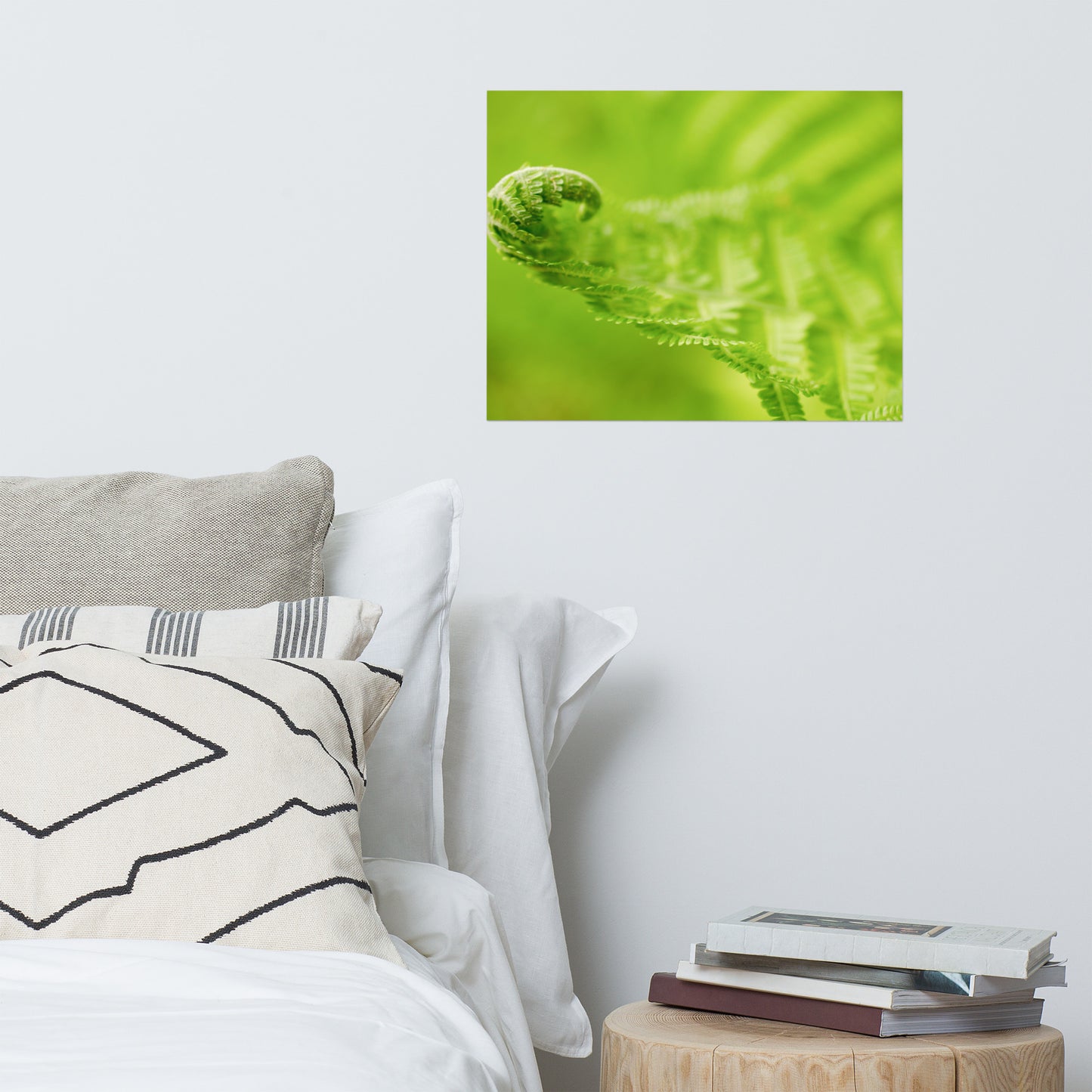 Fern Curl Botanical Nature Photo Loose Unframed Wall Art Prints