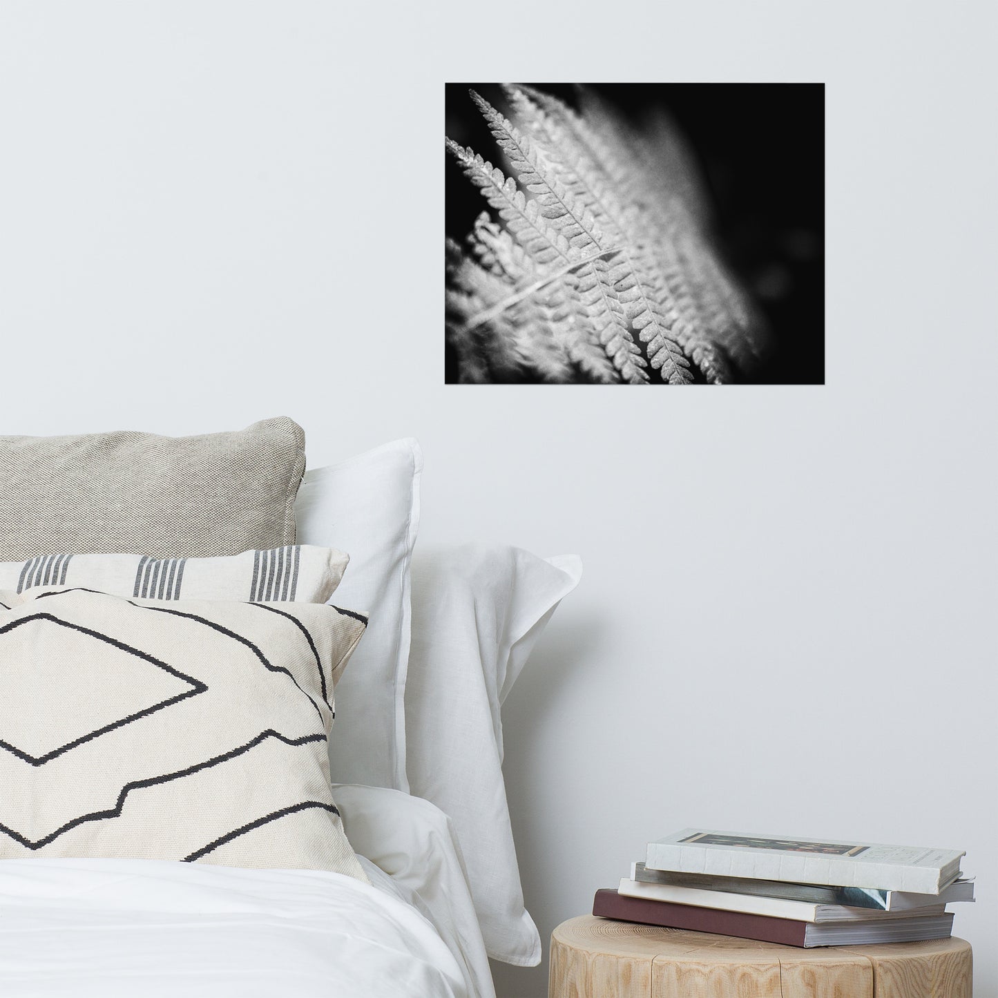 Fern Leaf In the Sunlight Black and White Botanical Nature Photo Loose Unframed Wall Art Prints