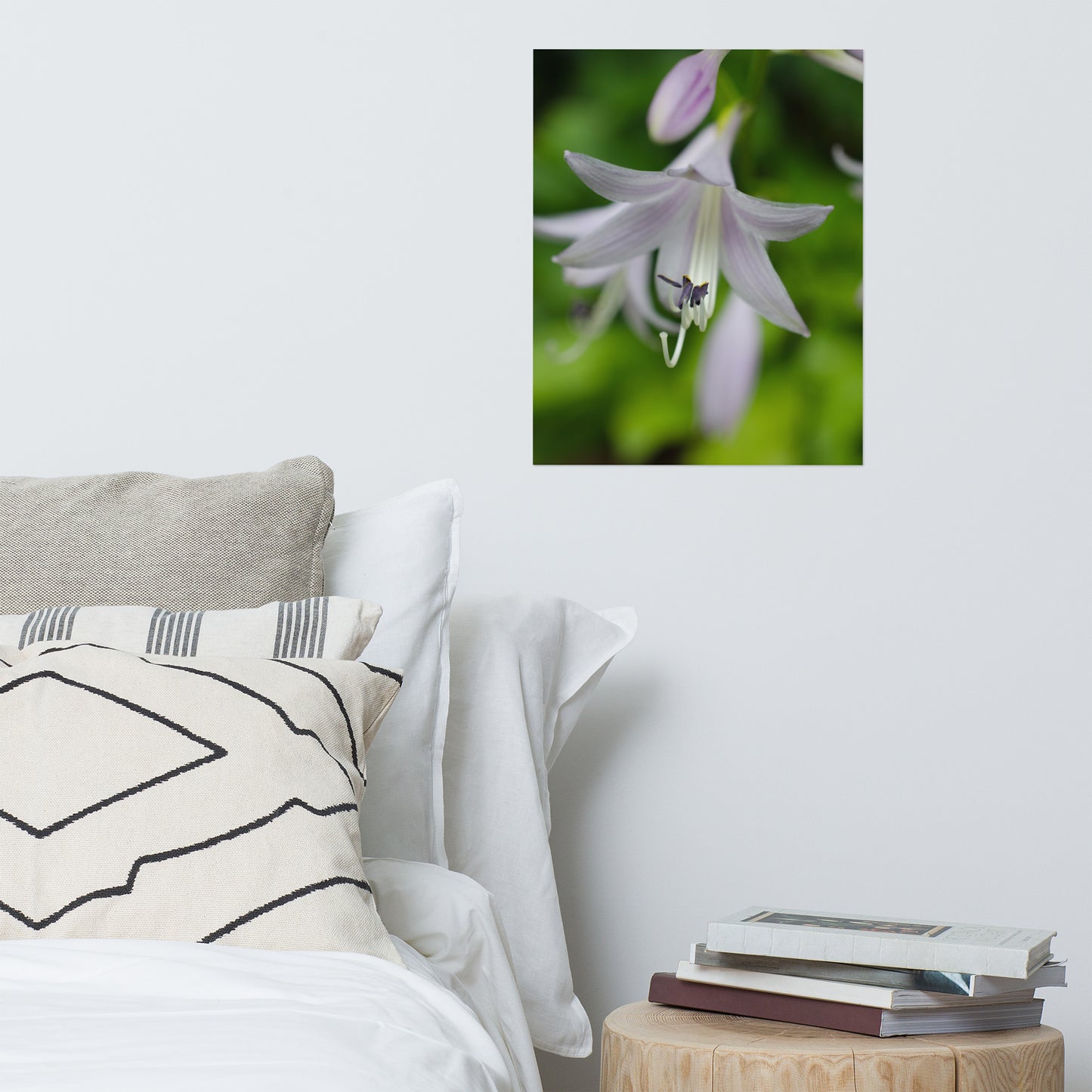 Hosta Bloom Floral Nature Photo Loose Unframed Wall Art Prints