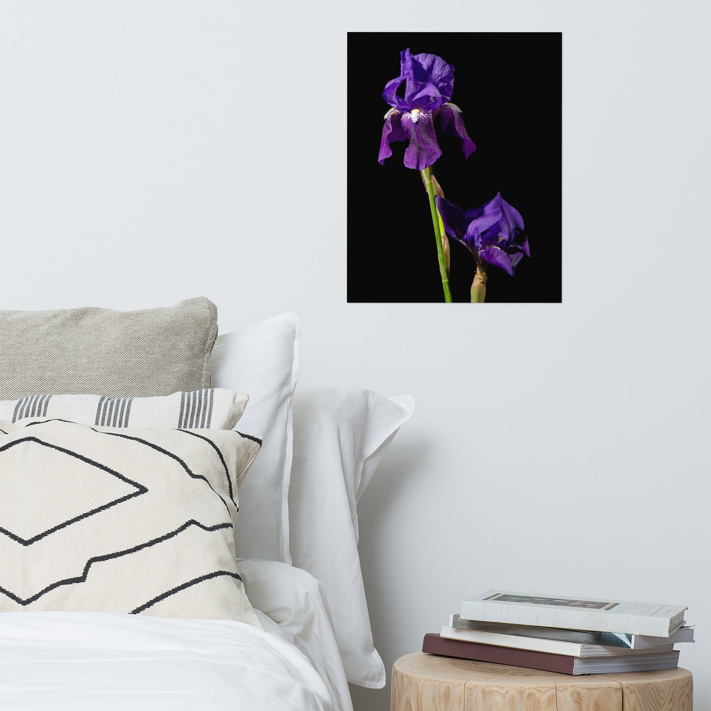 Iris on Black Floral Nature Photo Loose Unframed Wall Art Prints