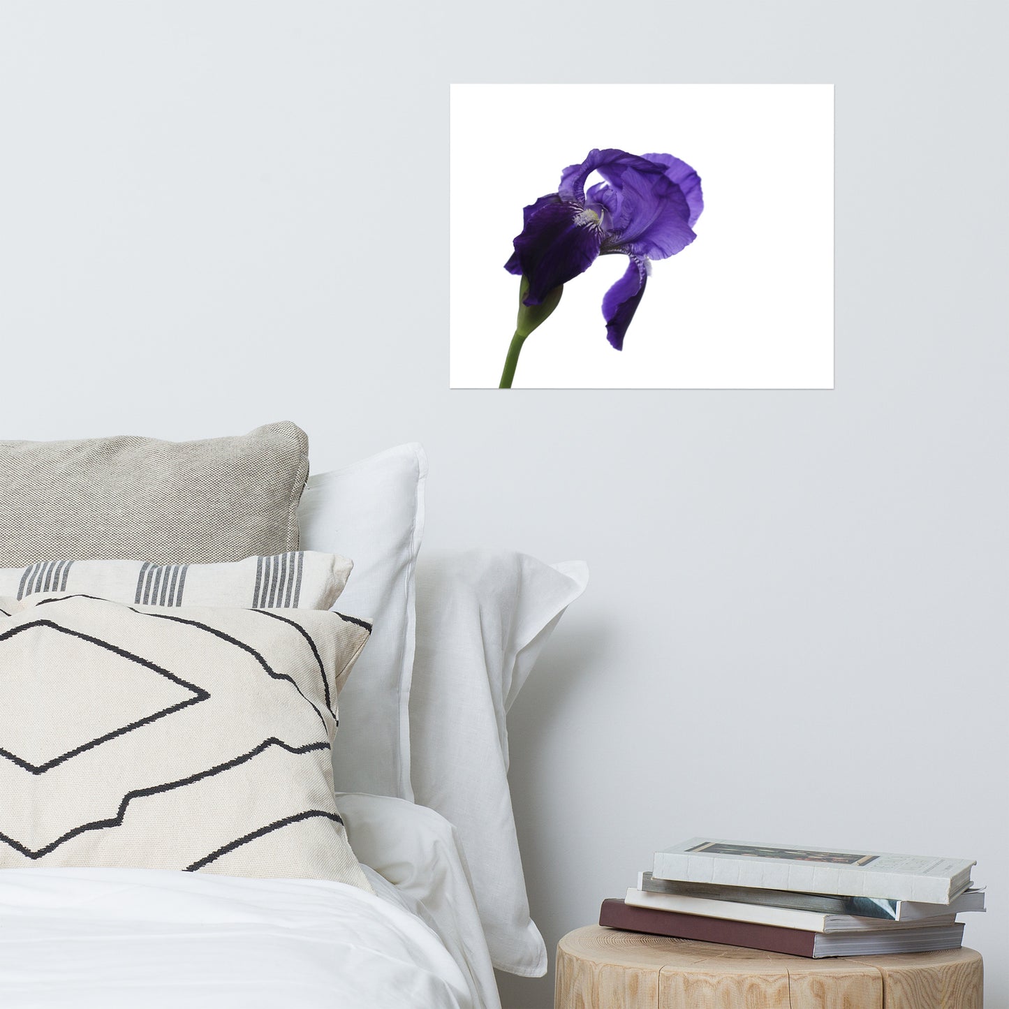 Iris on White Floral Nature Photo Loose Unframed Wall Art Prints