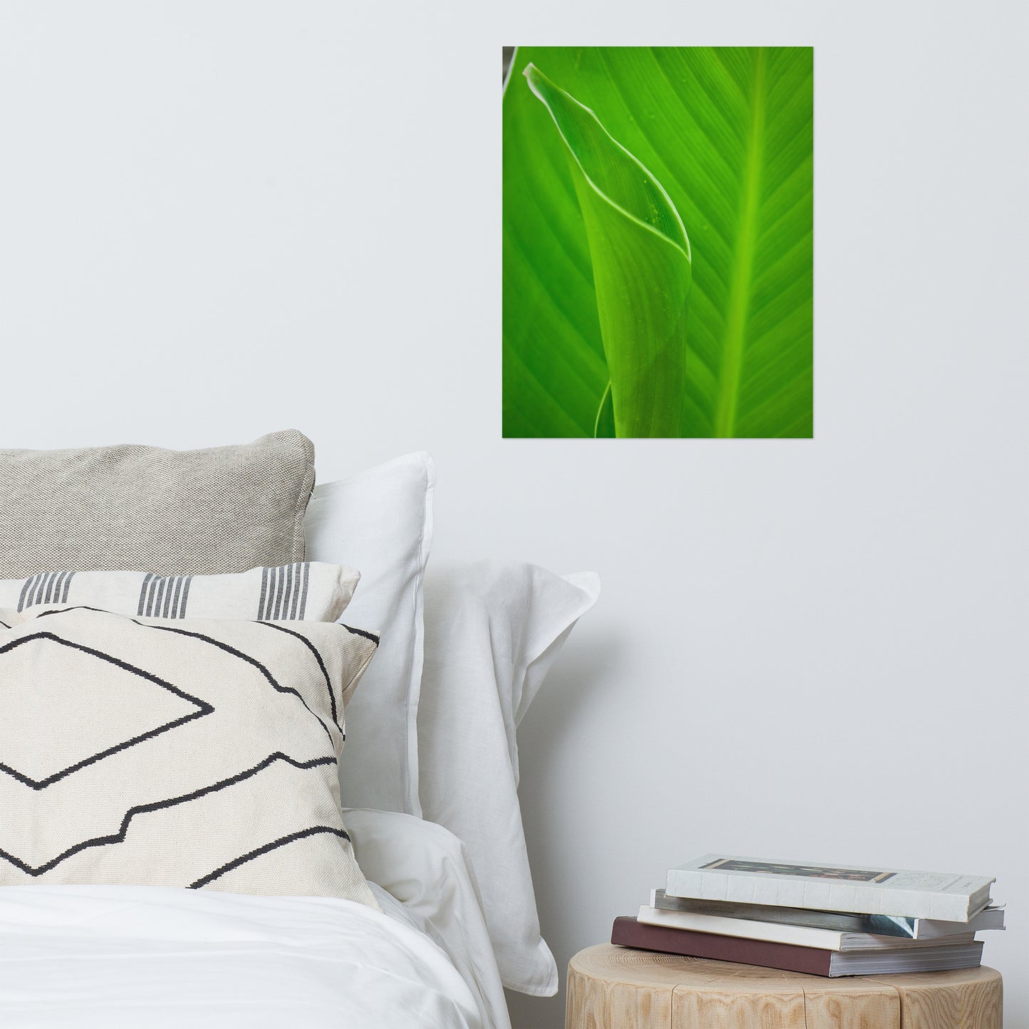 Leaves of Canna Lily Modern Farmhouse Style Botanical Nature Photo Loose Unframed Wall Art Prints