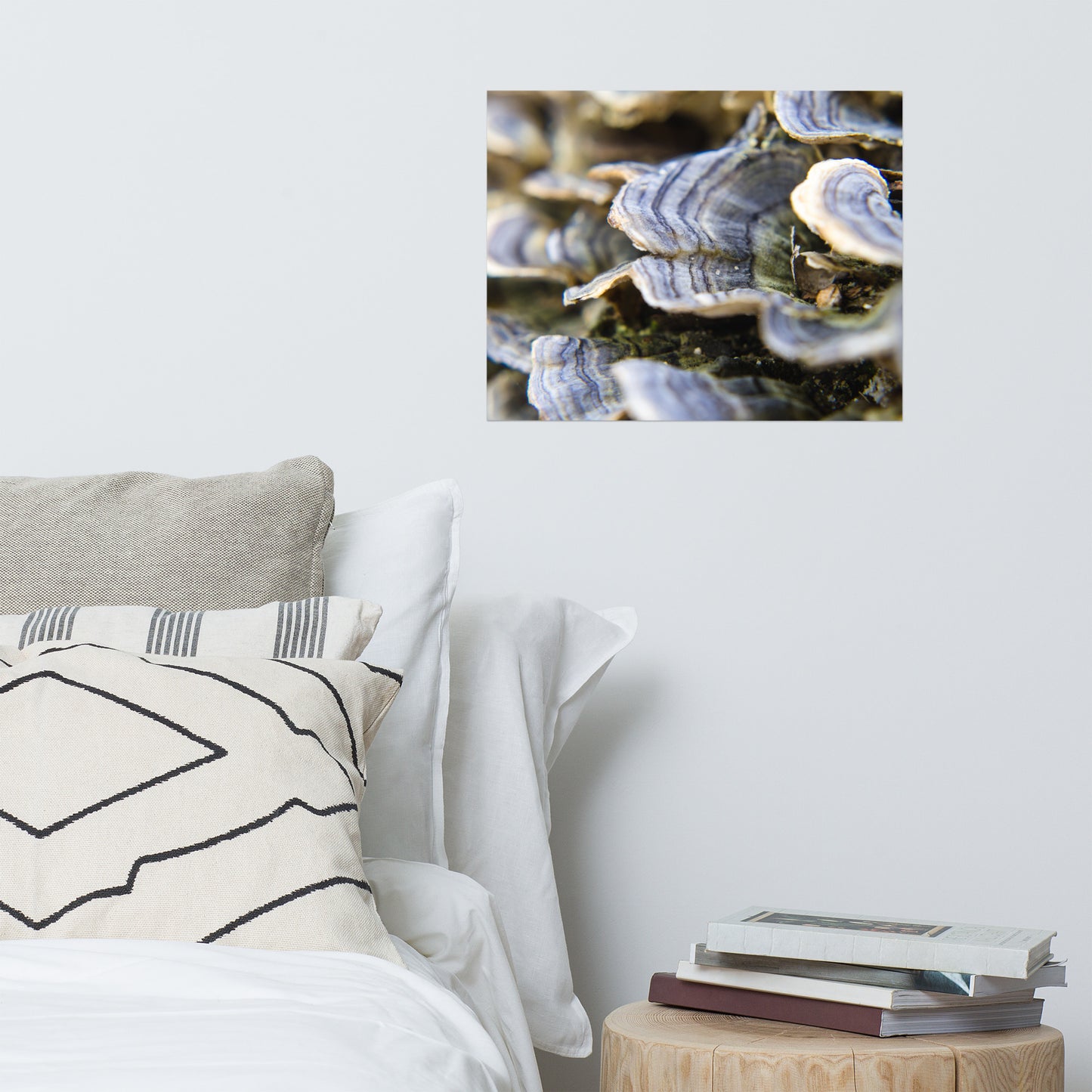 Mushrooms on Log Rustic Farmhouse Style Botanical Nature Photo Loose Unframed Wall Art Prints