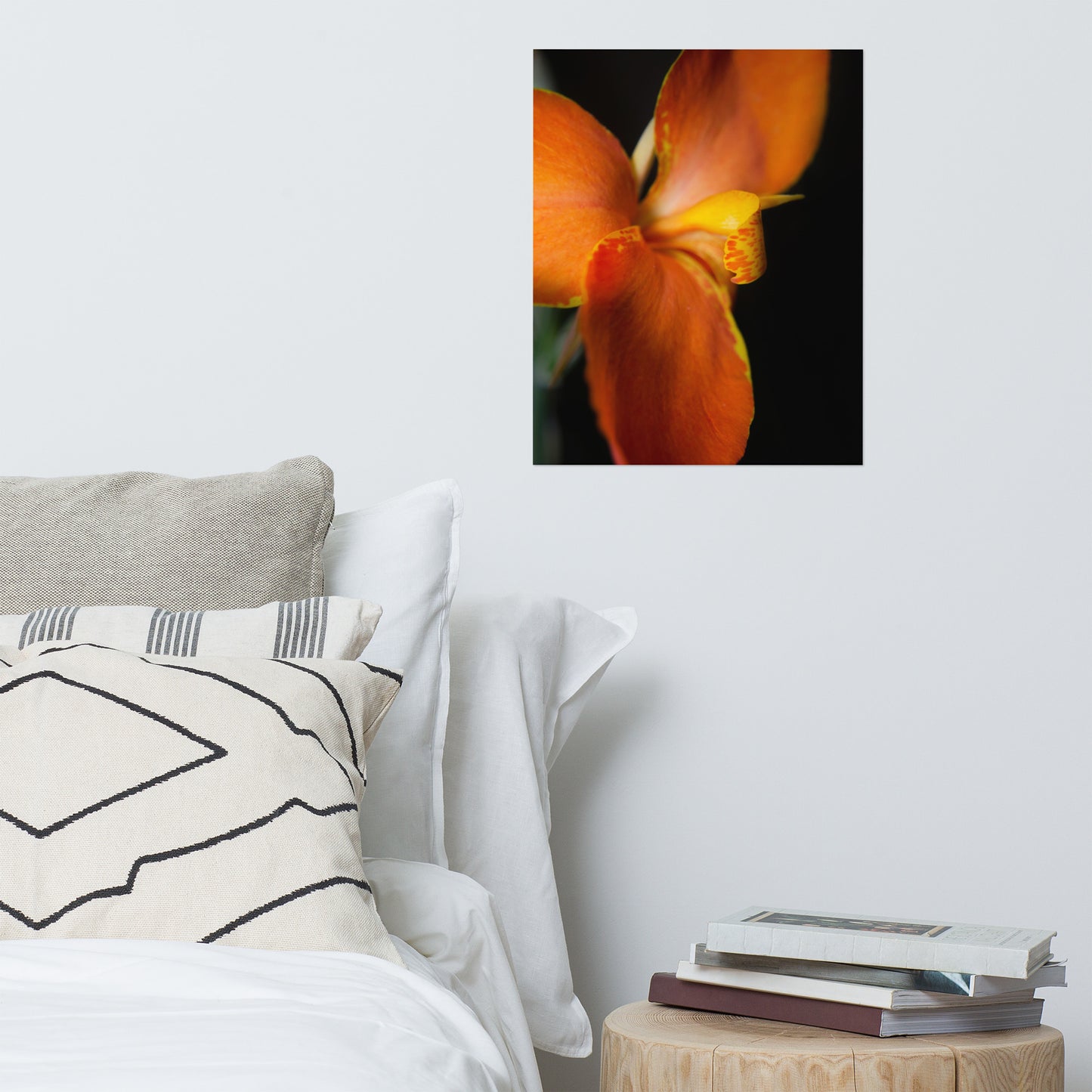 Orange Canna at Longwood Gardens Floral Nature Photo Loose Unframed Wall Art Prints