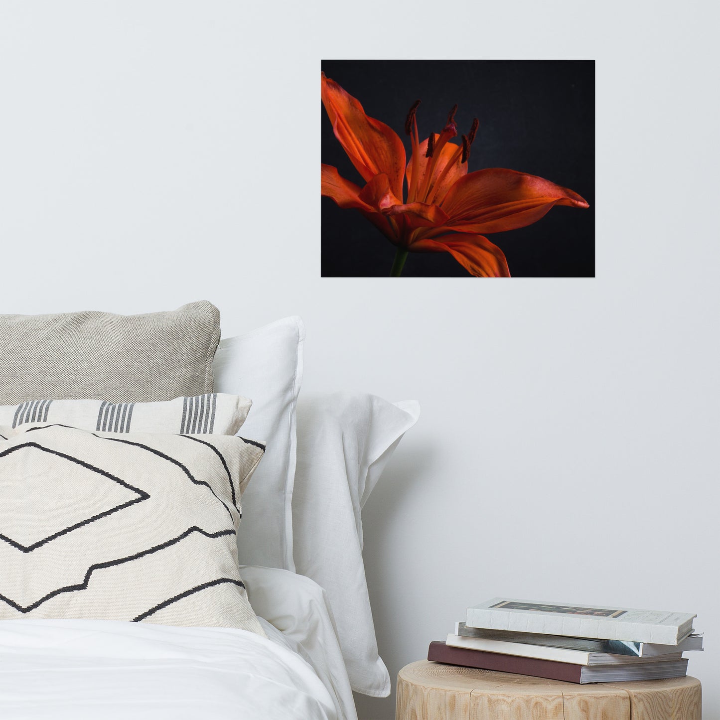 Orange Lily with Backlight Floral Nature Photo Loose Unframed Wall Art Prints