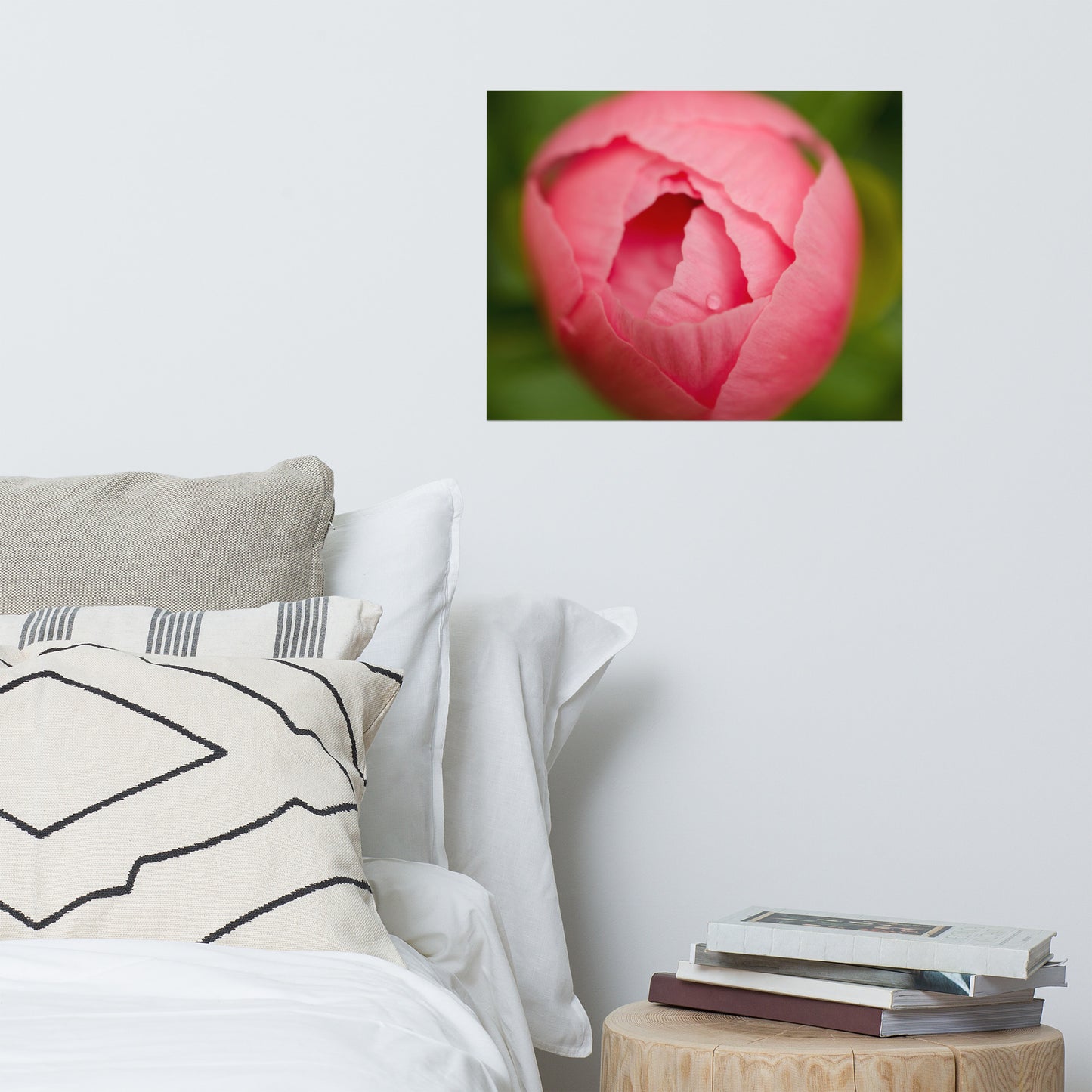 Peony Bud Floral Nature Photo Loose Unframed Wall Art Prints