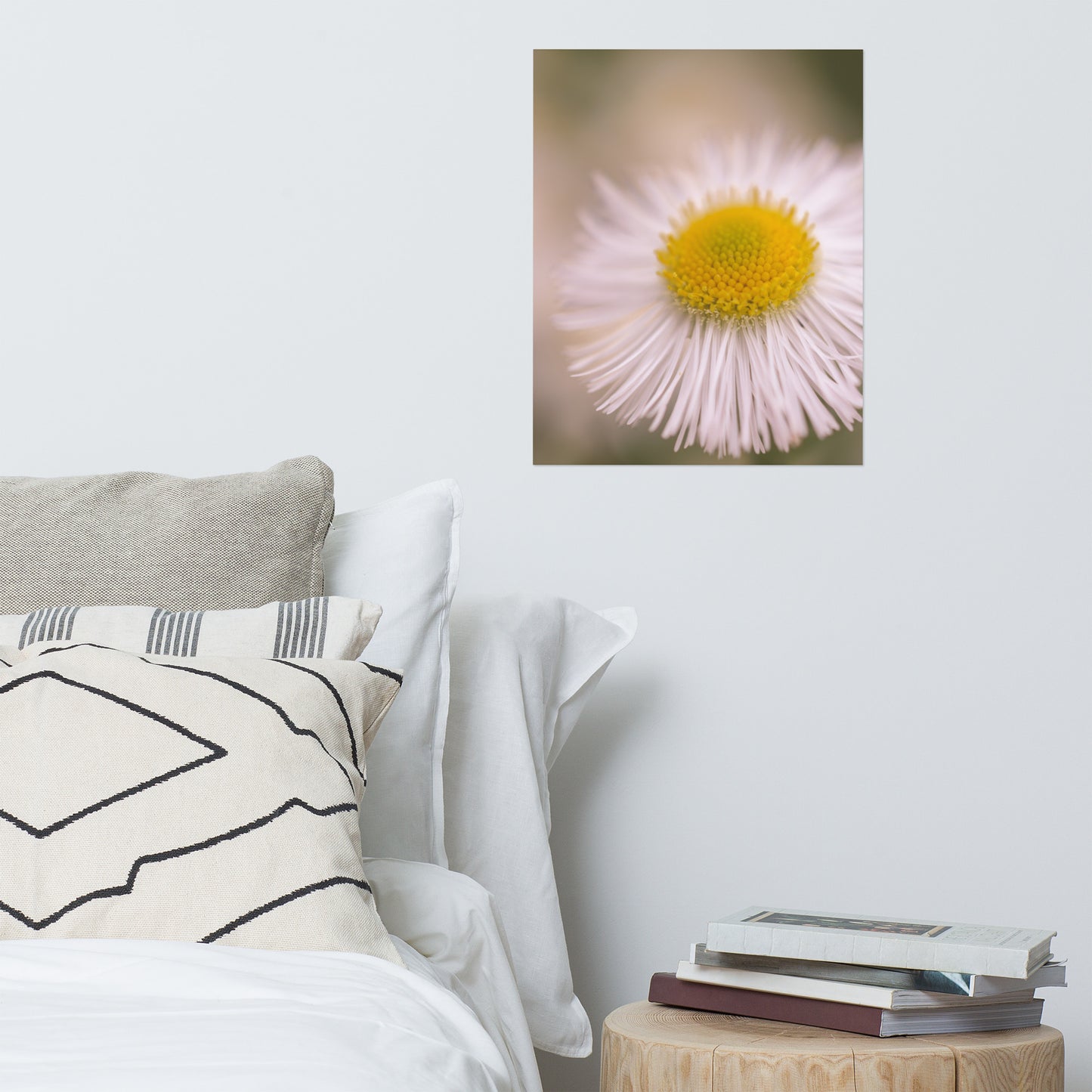 Philadelphia Fleabane Single Bloom Floral Nature Photo Loose Unframed Wall Art Prints