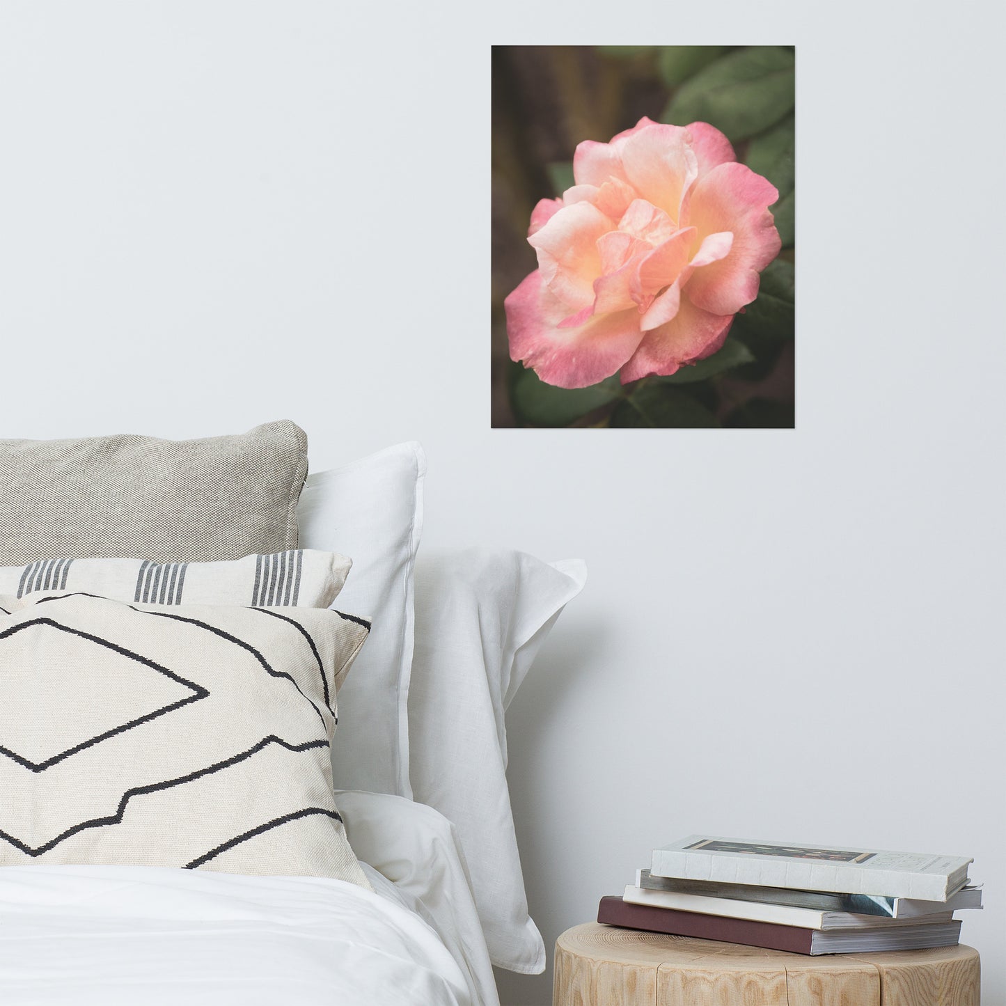 Pink and White Softened Rose Floral Nature Photo Loose Unframed Wall Art Prints