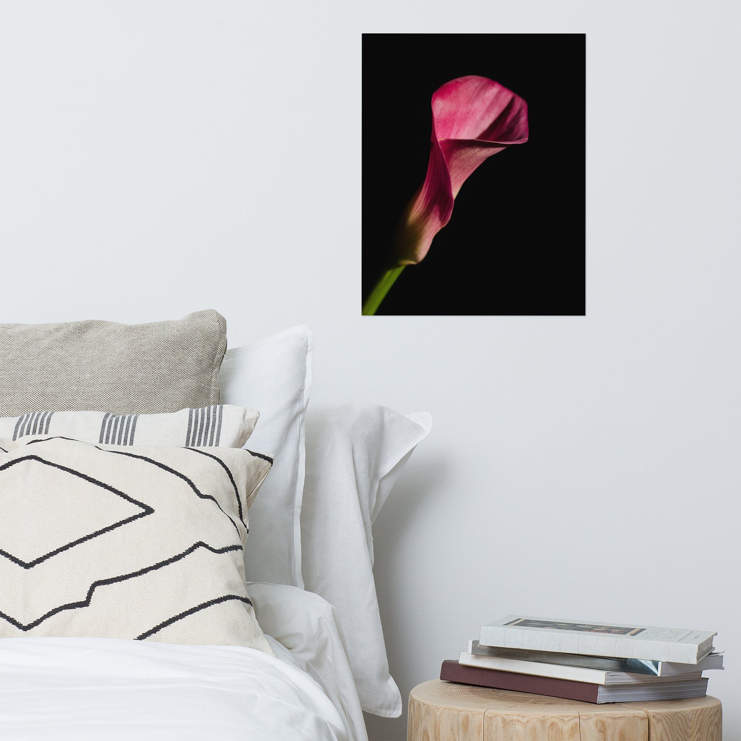 Pink Calla Lily Flower on Black Floral Nature Photo Loose Unframed Wall Art Prints