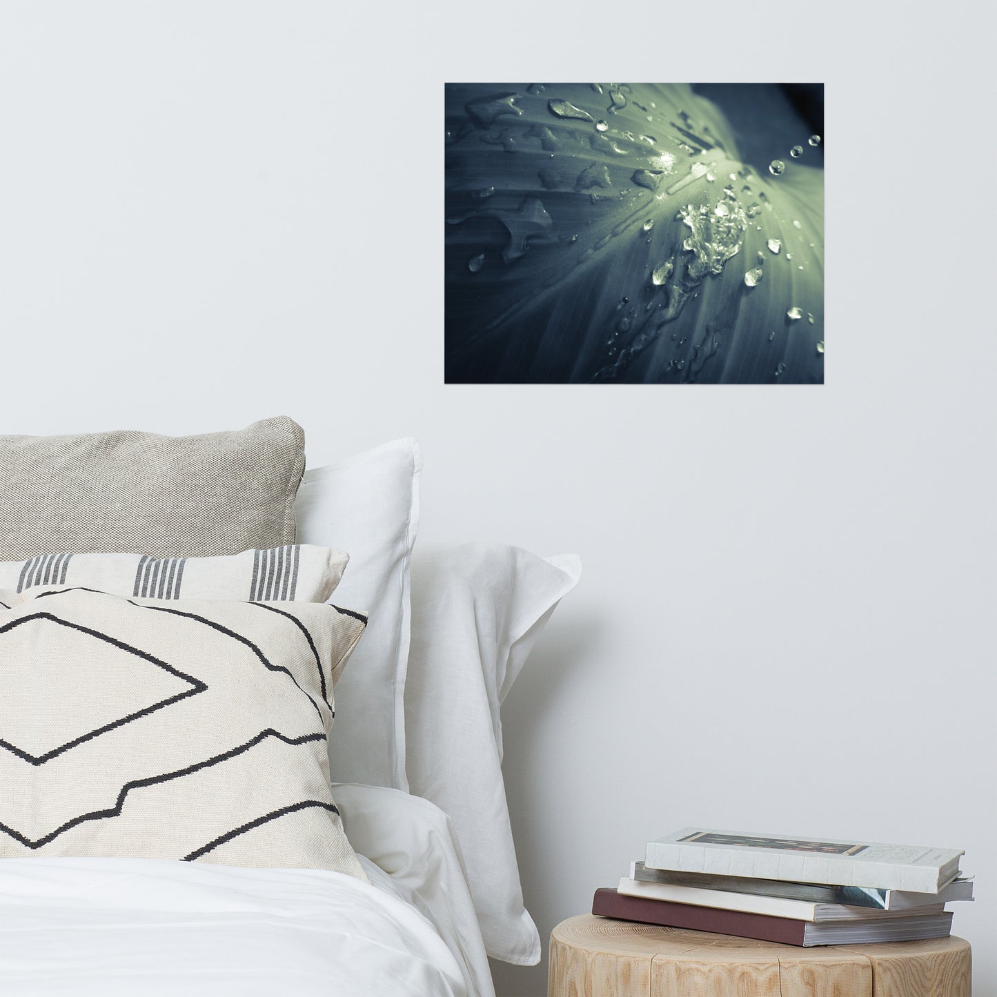 Rain Dropping on Canna Leaf Minimalist Botanical Nature Photo Loose Unframed Wall Art Prints
