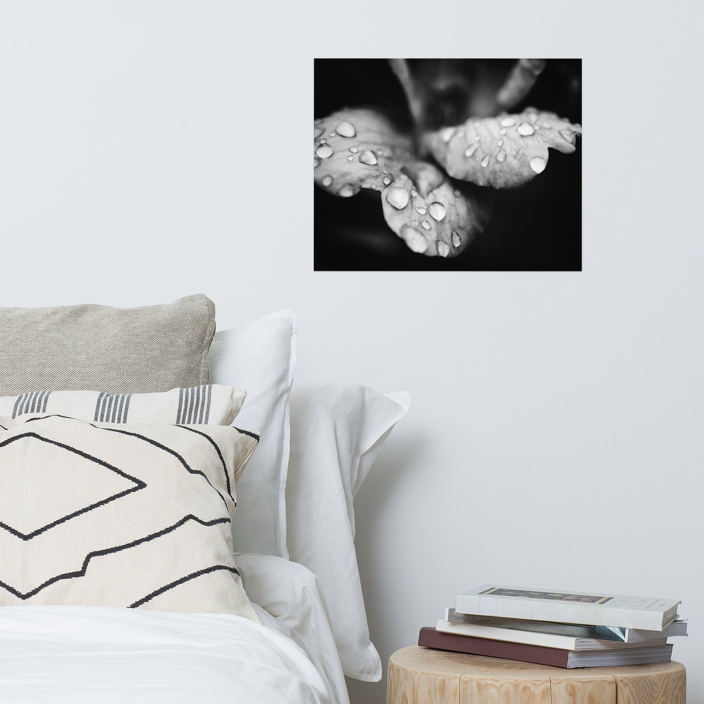 Raindrops on Wild Rose Black and White Botanical Nature Photo Loose Unframed Wall Art Prints