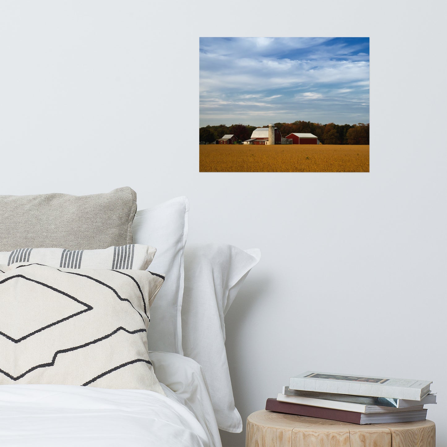 Red Barn in Golden Field Traditional Color Rustic Farmhouse Style Landscape Photo Loose Wall Art Prints