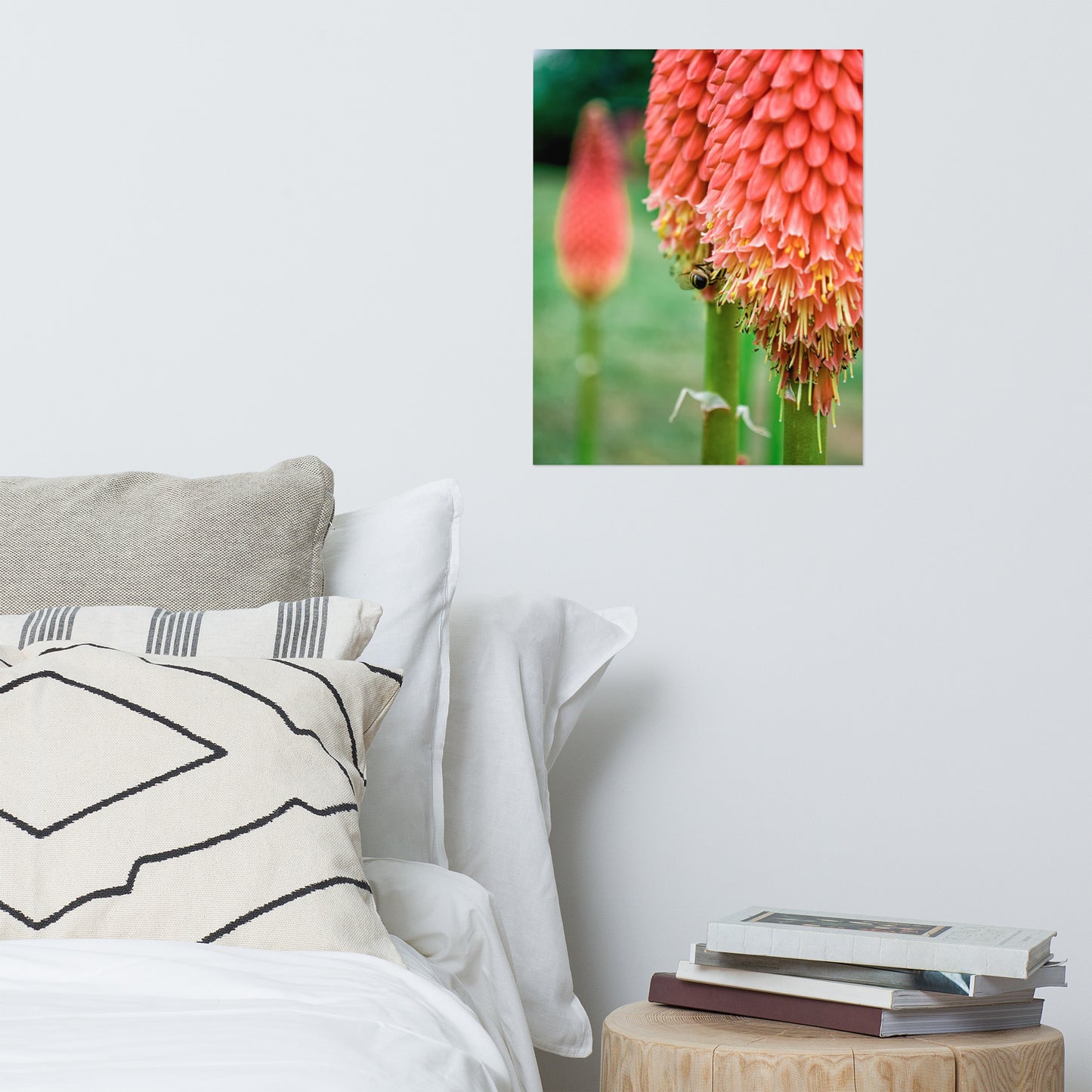 Red Hot Pokers Floral Nature Photo Loose Unframed Wall Art Prints
