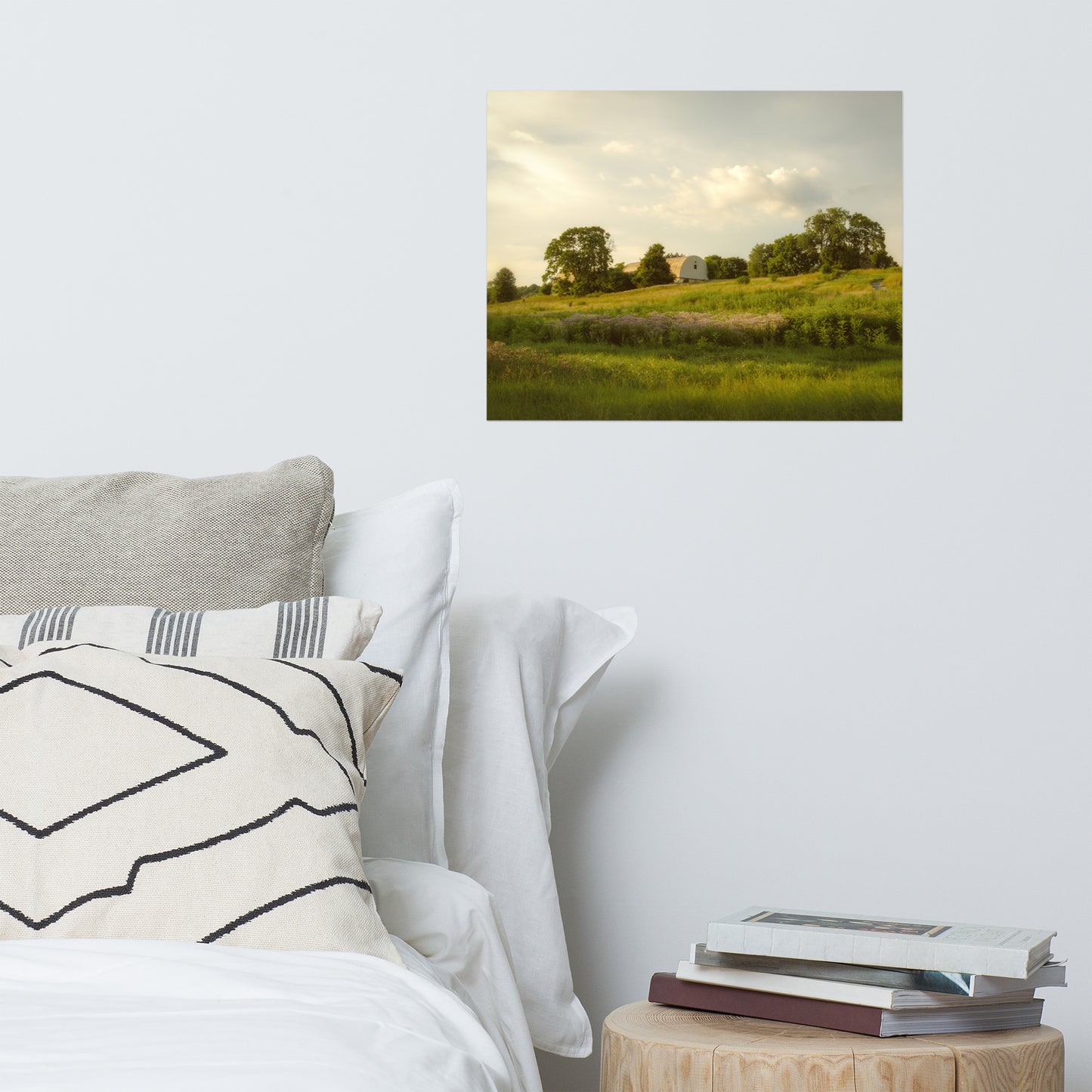Remnant of Better Days Rustic Farmhouse Style Landscape Photo Loose Wall Art Prints