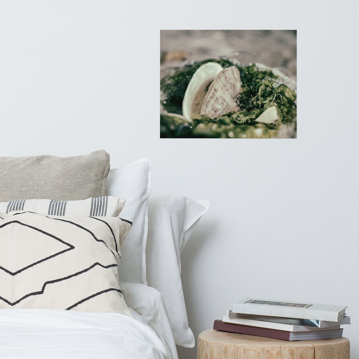 Seaweed and Shells Coastal Nature Photo Loose Unframed Wall Art Prints