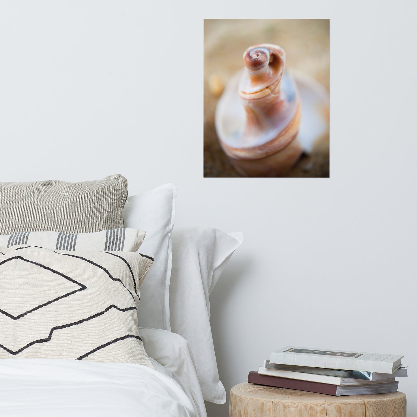 Smooth Erosion - Seashell Coastal Nature Photo Loose Unframed Wall Art Prints