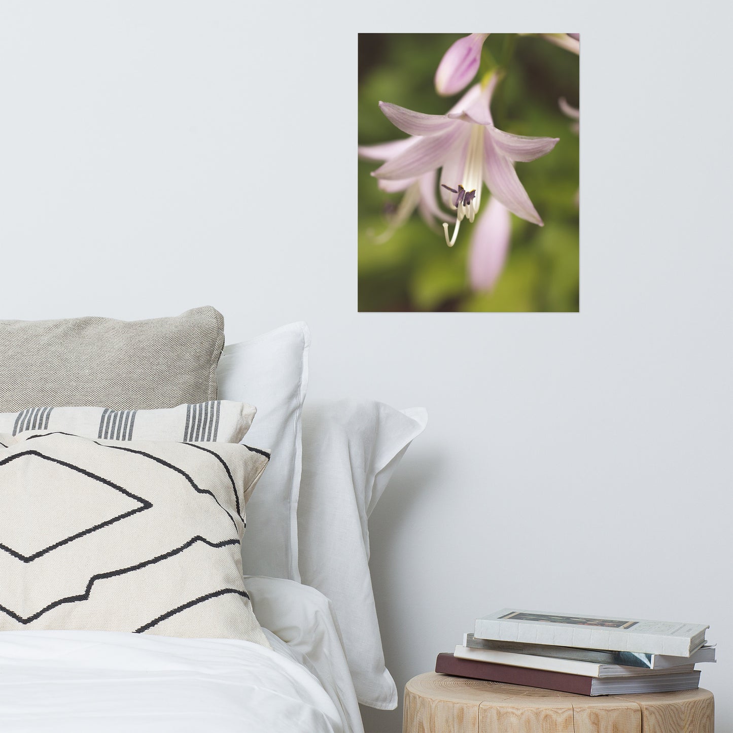 Softened Hosta Bloom Floral Nature Photo Loose Unframed Wall Art Prints