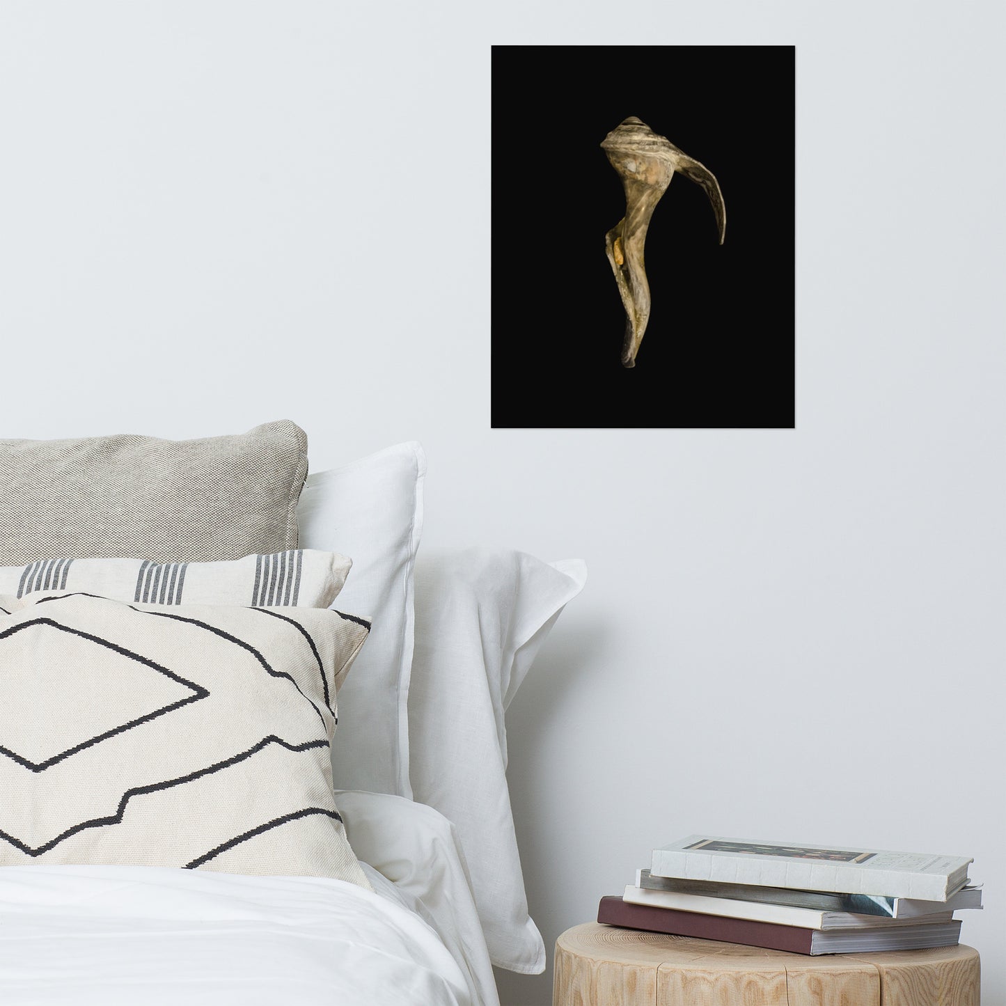 States of Erosion Image 4 Whelk Shell Coastal Nature Photo Loose Unframed Wall Art Prints