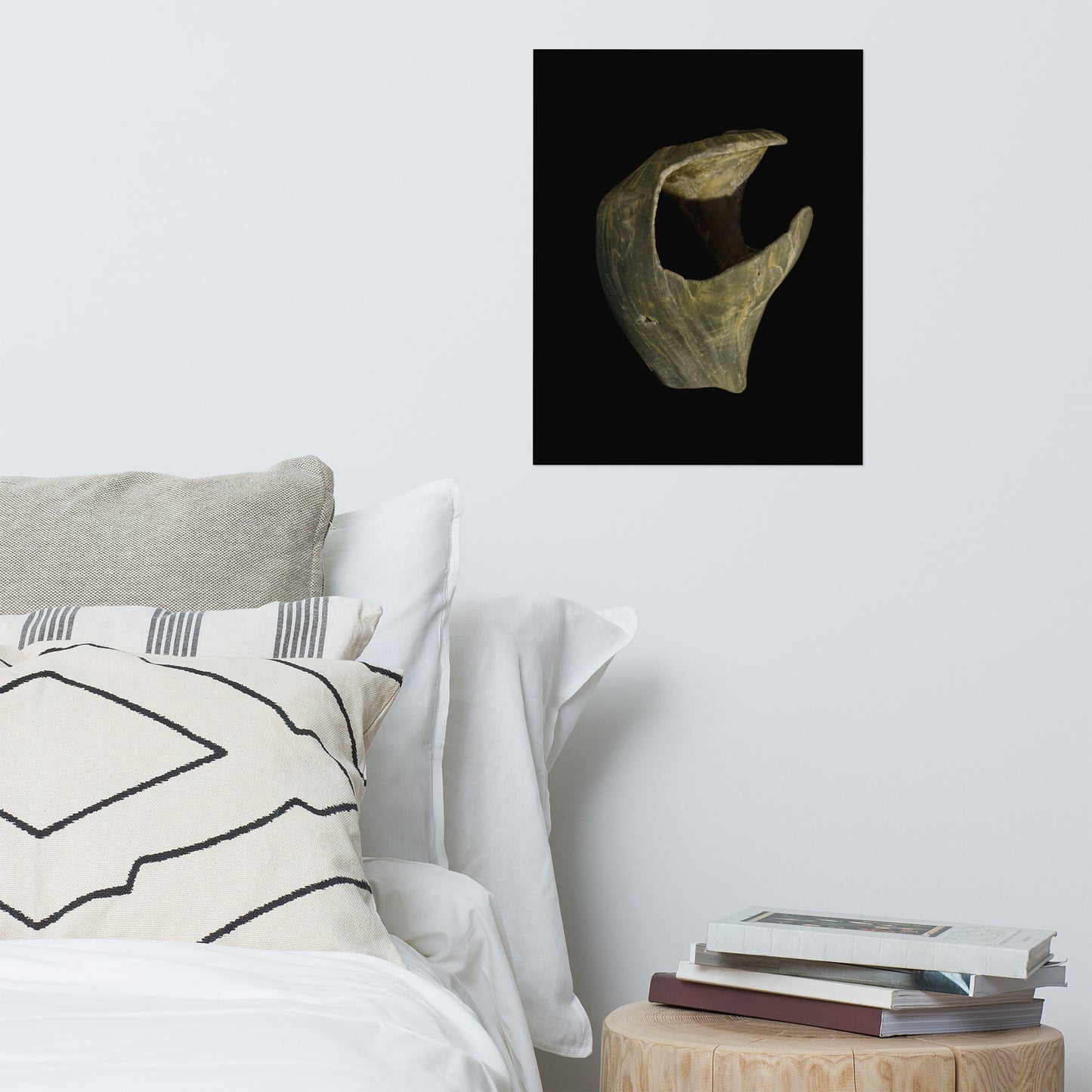 States of Erosion Image 5 Whelk Shell Coastal Nature Photo Loose Unframed Wall Art Prints