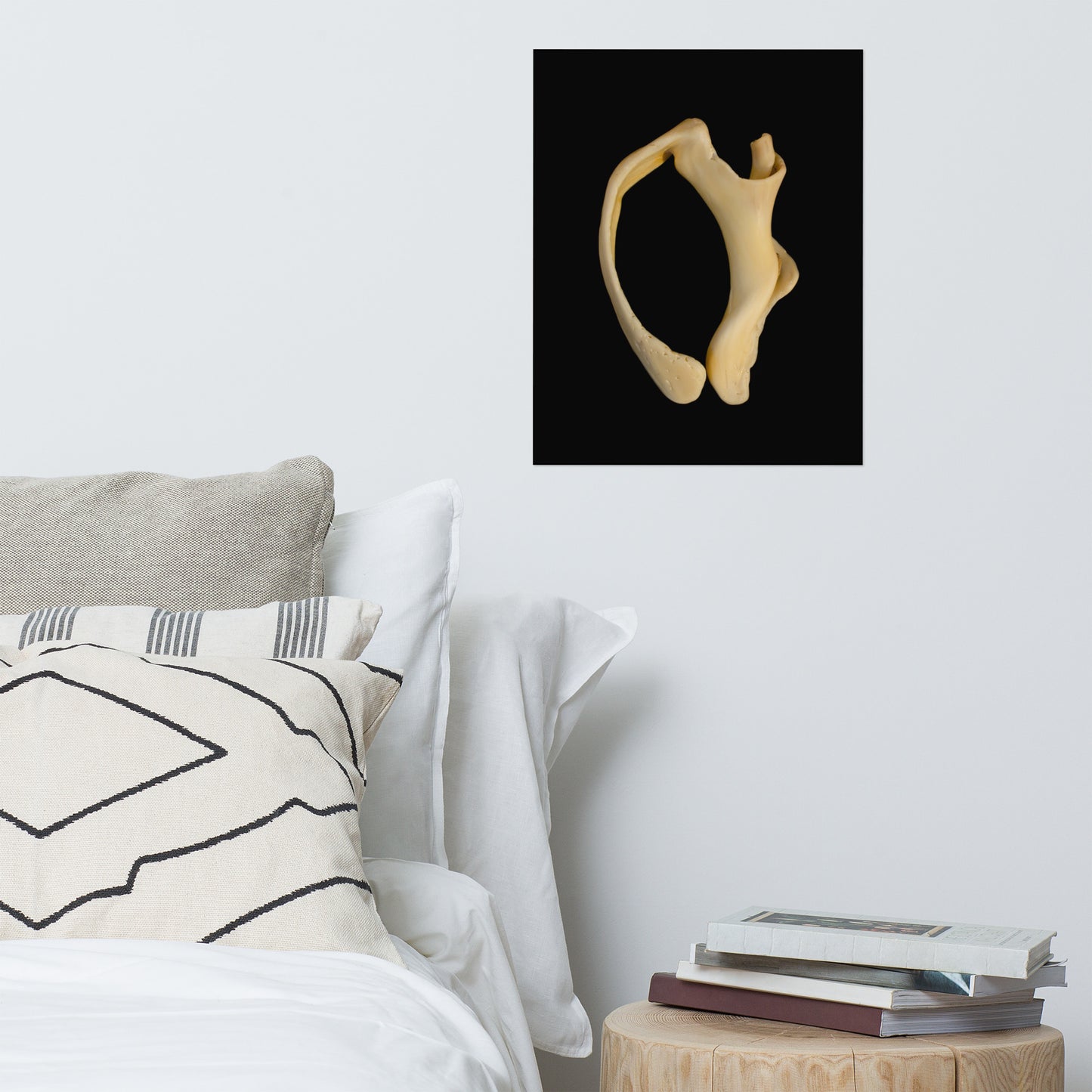 States of Erosion Image 6 Whelk Shell Coastal Nature Photo Loose Unframed Wall Art Prints