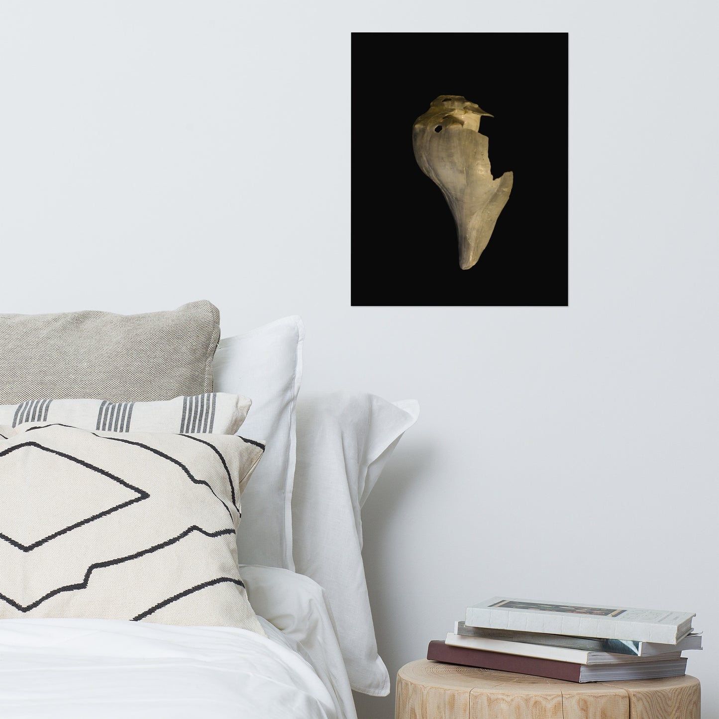 States of Erosion Image 7 Whelk Shell Coastal Nature Photo Loose Unframed Wall Art Prints