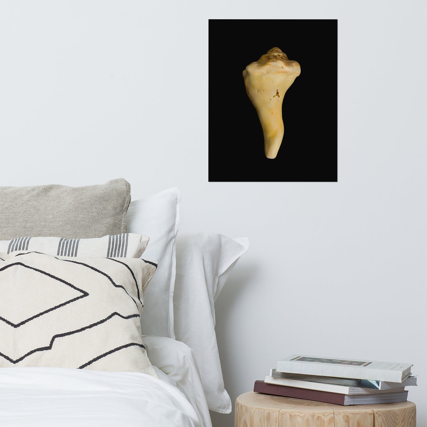 States of Erosion Image 8 Whelk Shell Coastal Nature Photo Loose Unframed Wall Art Prints