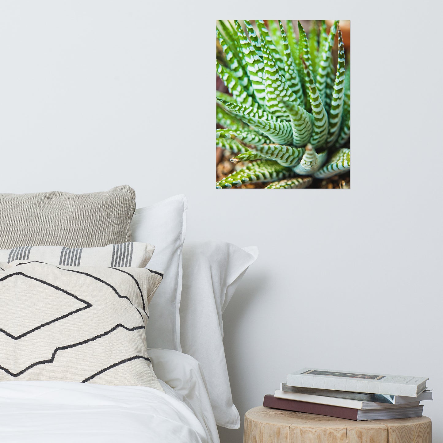 Succulent 2 Minimalist Rustic Farmhouse Style Botanical Nature Photo Loose Unframed Wall Art Prints