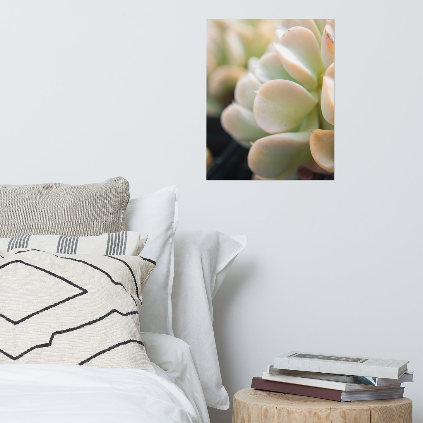 Succulent 4 Minimalist Rustic Farmhouse Style Botanical Nature Photo Loose Unframed Wall Art Prints