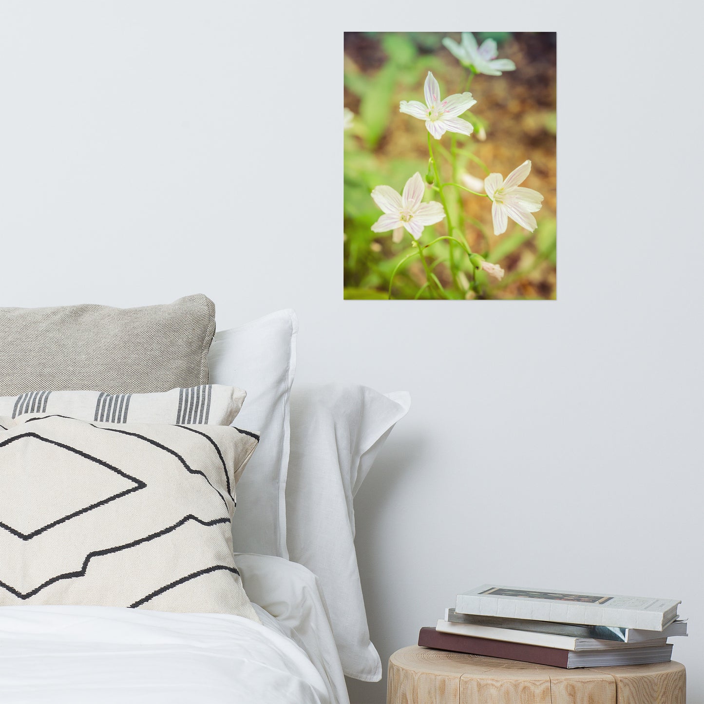 Tranquil Carolina Spring Beauty Floral Nature Photo Loose Unframed Wall Art Prints